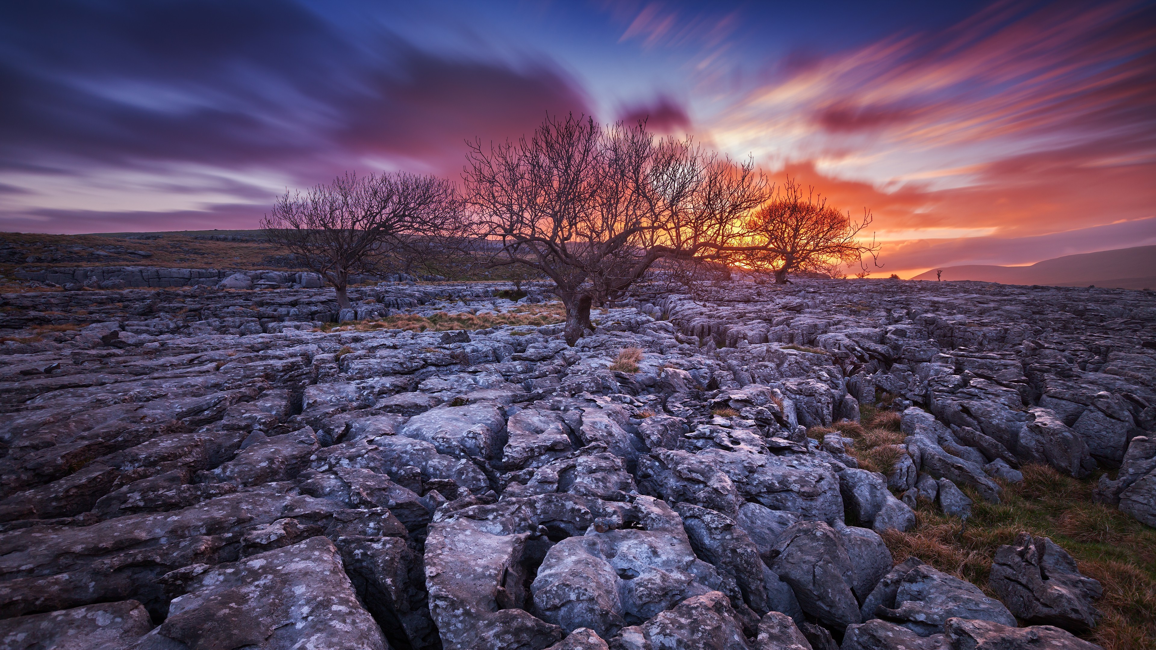 kostenlose hd wallpaper,himmel,natürliche landschaft,natur,baum,wolke