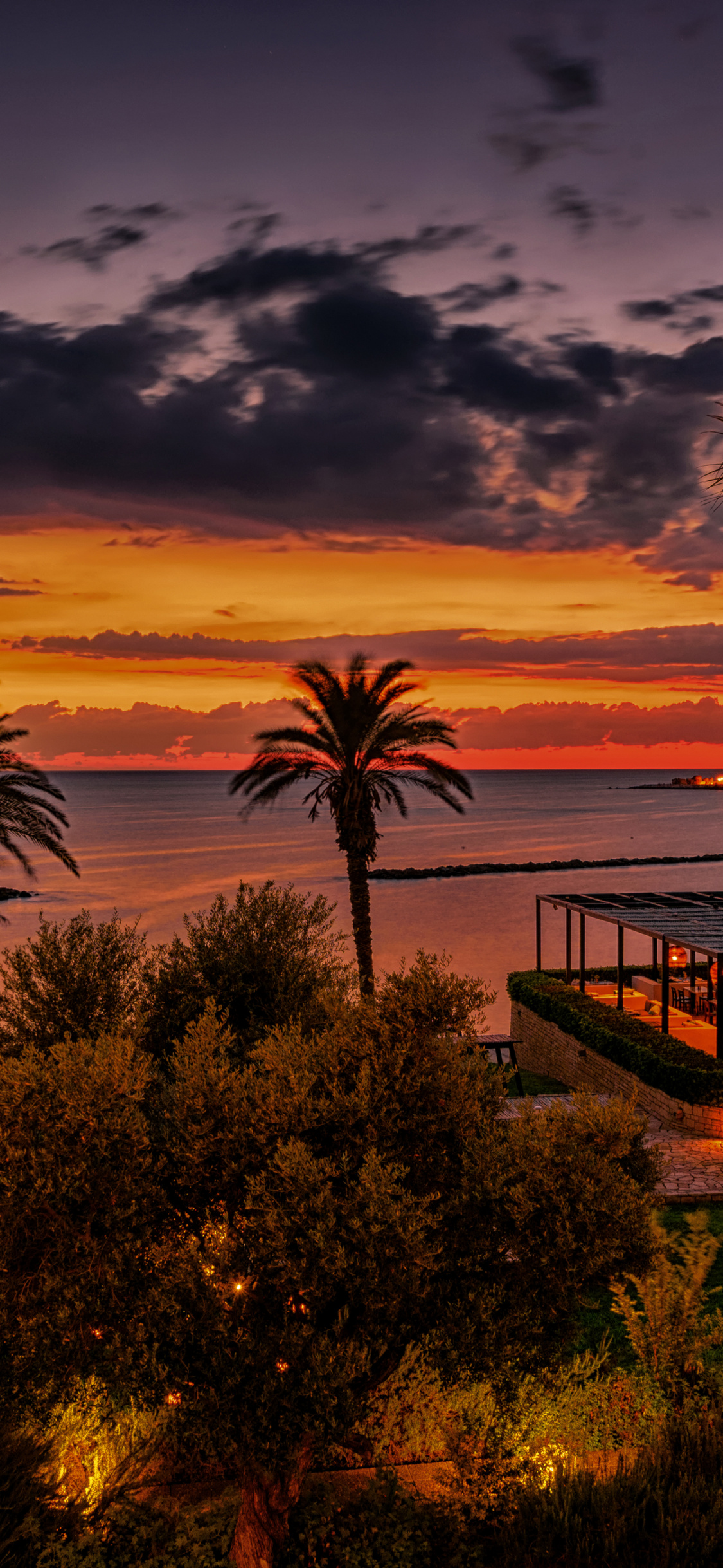 sfondi per iphone full hd,cielo,natura,tramonto,albero,alba