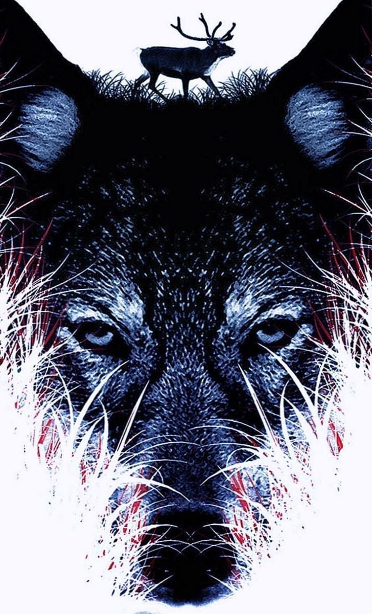 cool iphone wallpapers,canidae,snout,dog,carnivore,whiskers