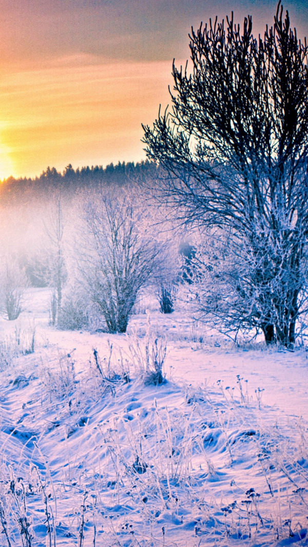 fond d'écran iphone 5s,hiver,neige,la nature,paysage naturel,ciel