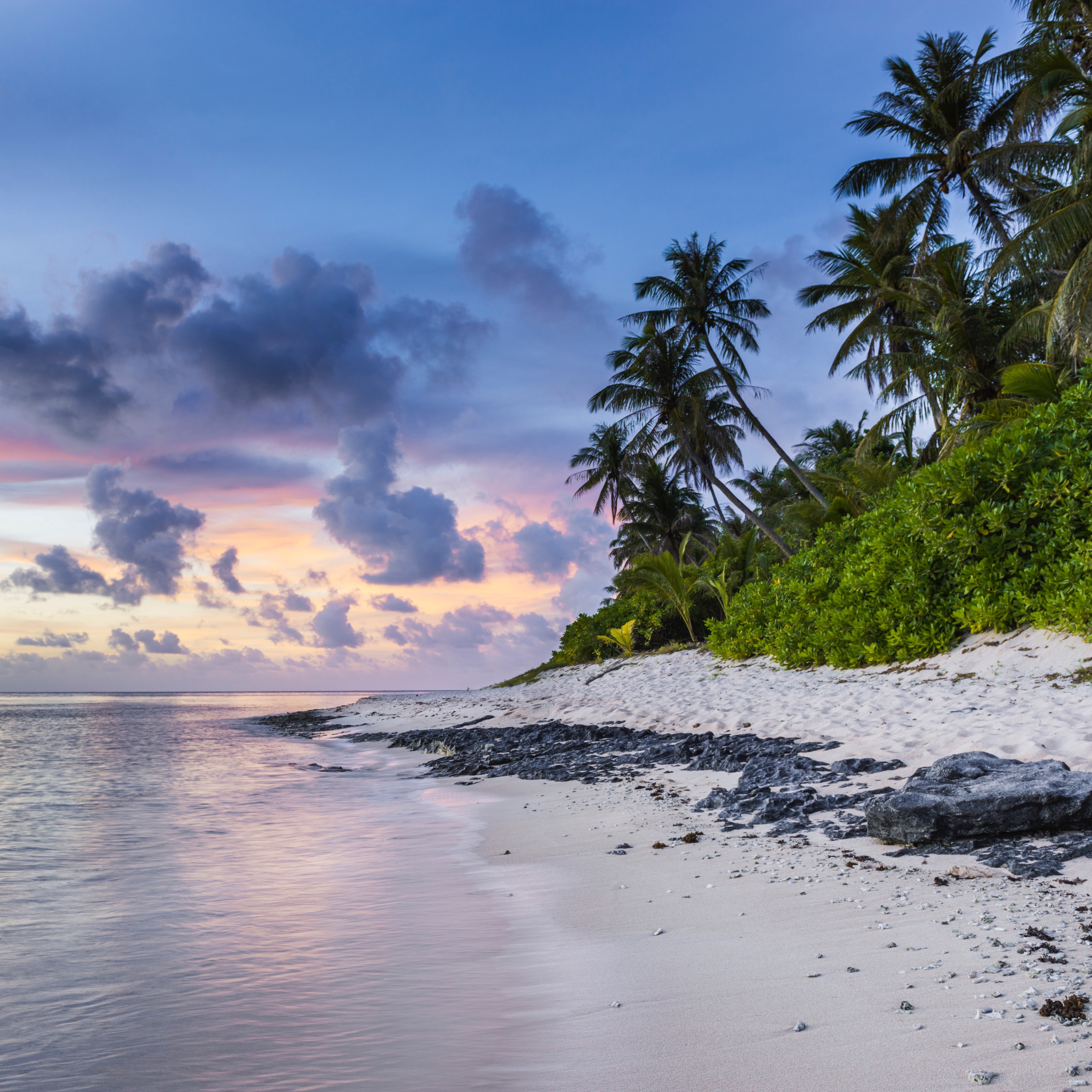 ipad pro wallpaper,body of water,nature,sky,shore,tropics