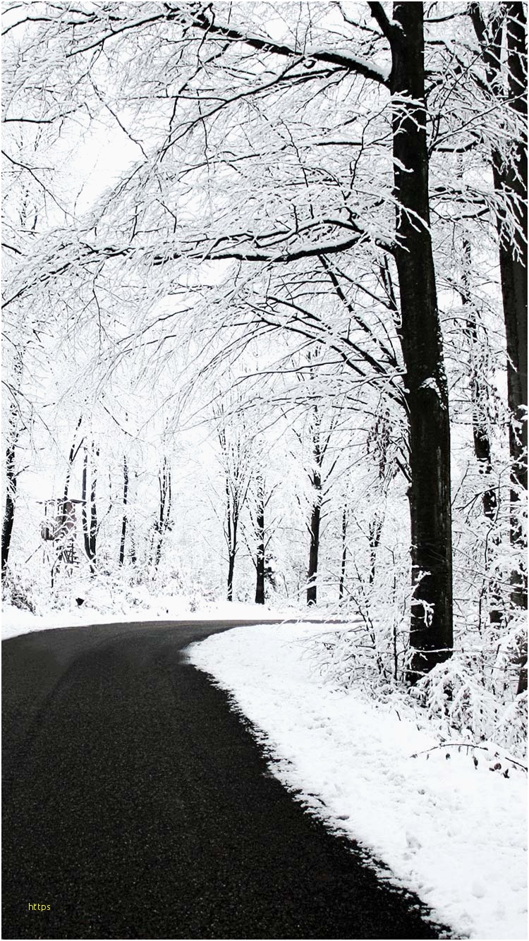 meilleurs fonds d'écran iphone,neige,arbre,hiver,la nature,paysage naturel