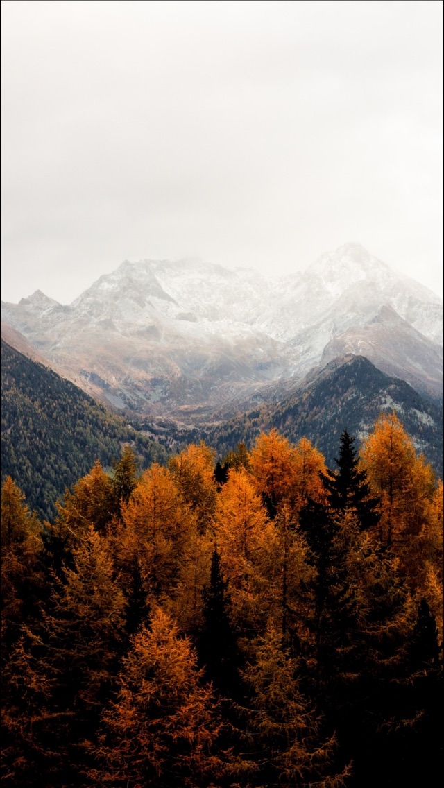 wallpapers iphone,mountainous landforms,mountain,nature,mountain range,tree