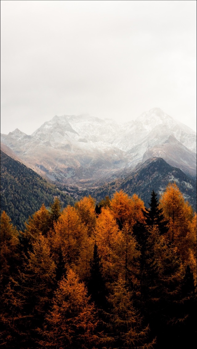 fonds d'écran iphone,montagne,la nature,chaîne de montagnes,arbre,ciel