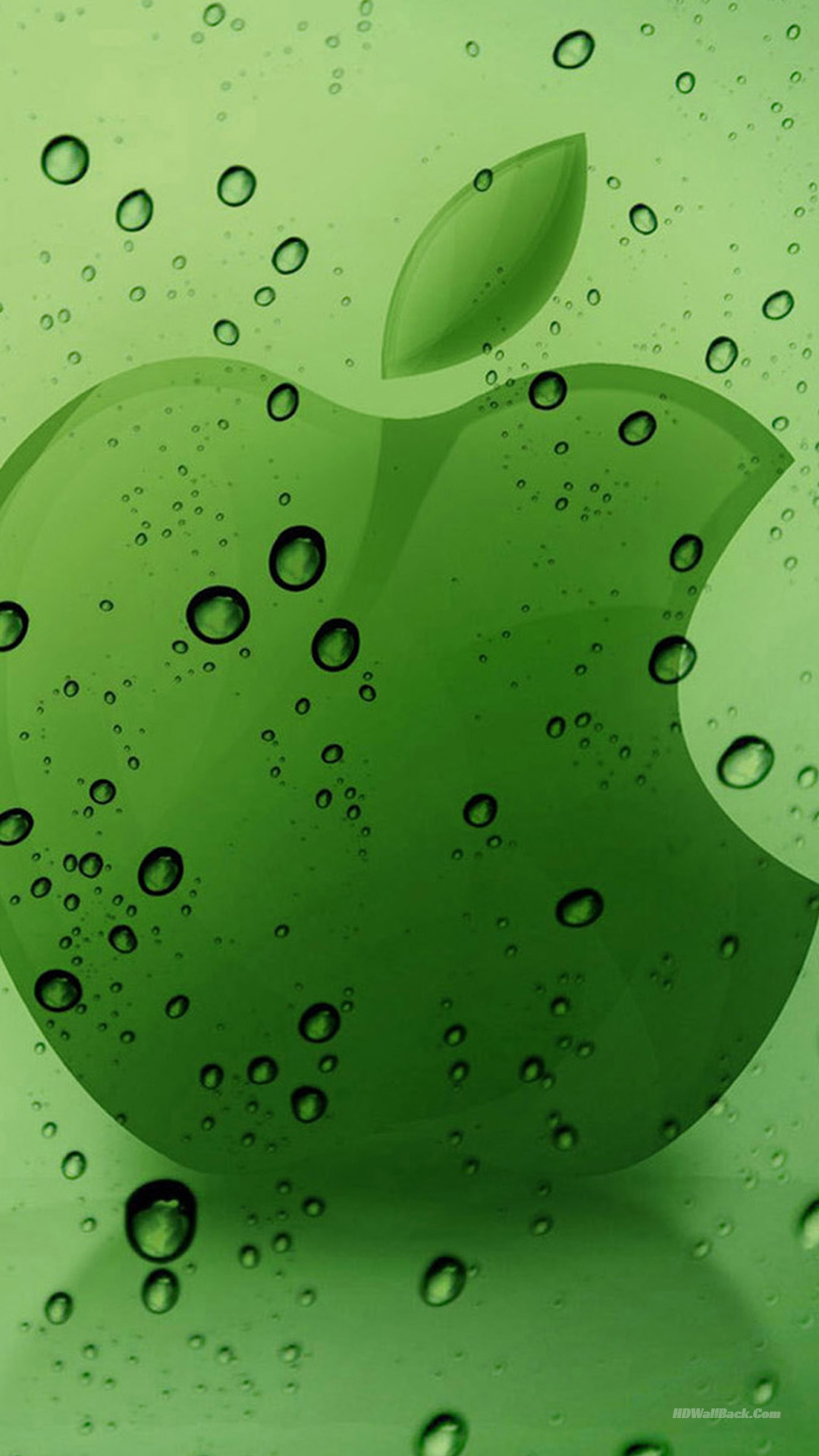 iphone 6 plus wallpaper,green,water,dew,leaf,moisture