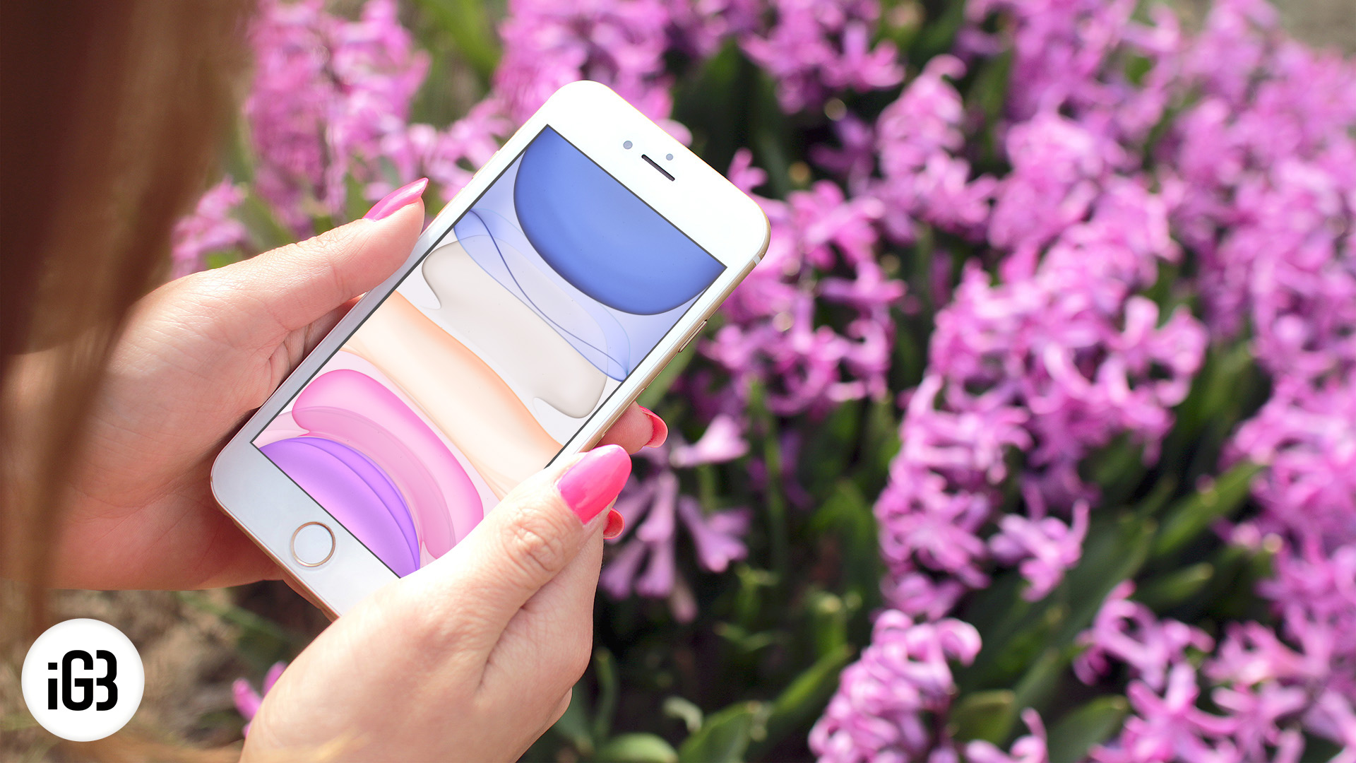 배경 화면 아이폰,간단한 기계 장치,휴대 전화,라벤더,라일락 꽃,분홍