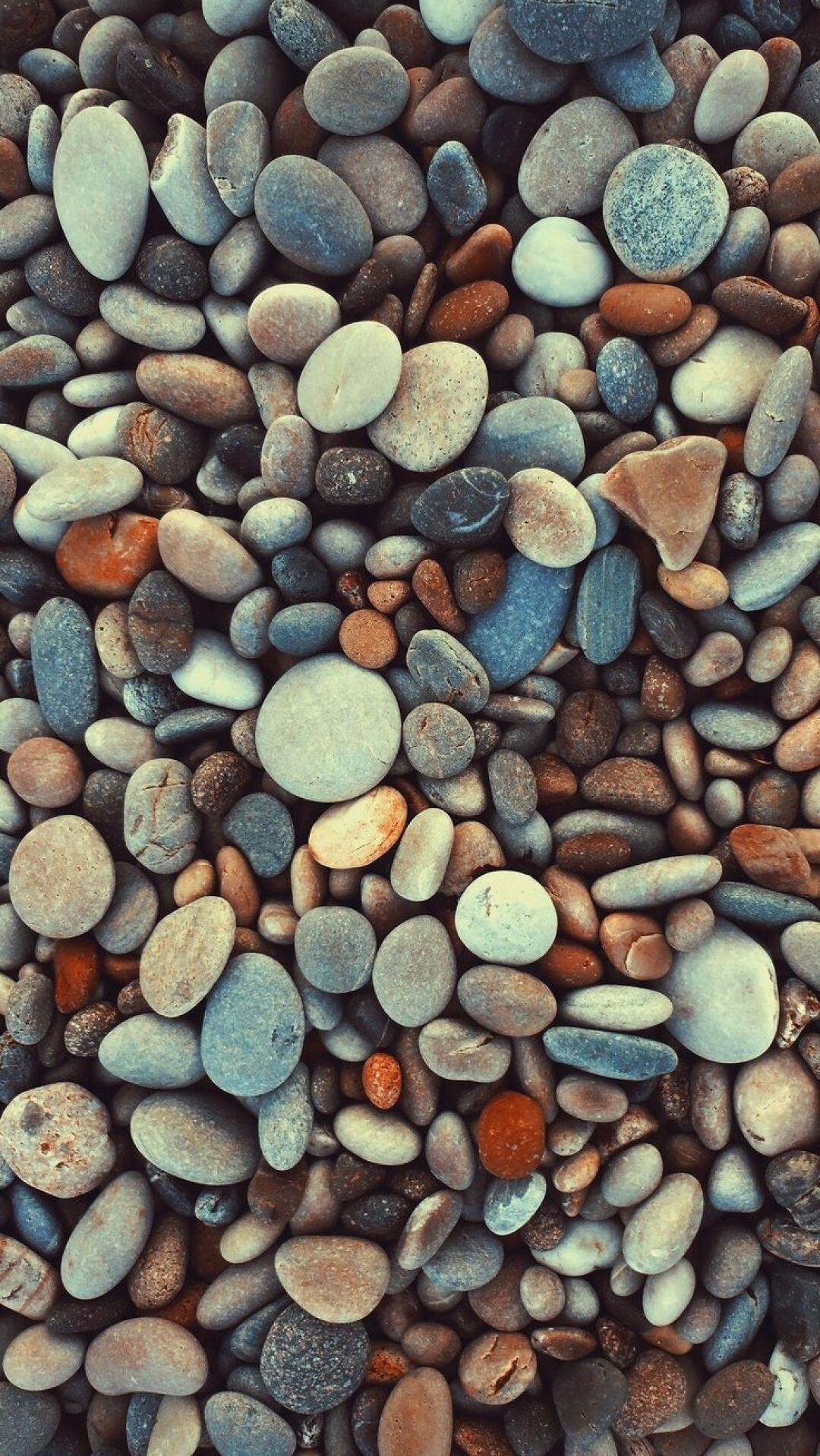 iphone 6s wallpaper,pebble,gravel,rock,cobblestone,plant