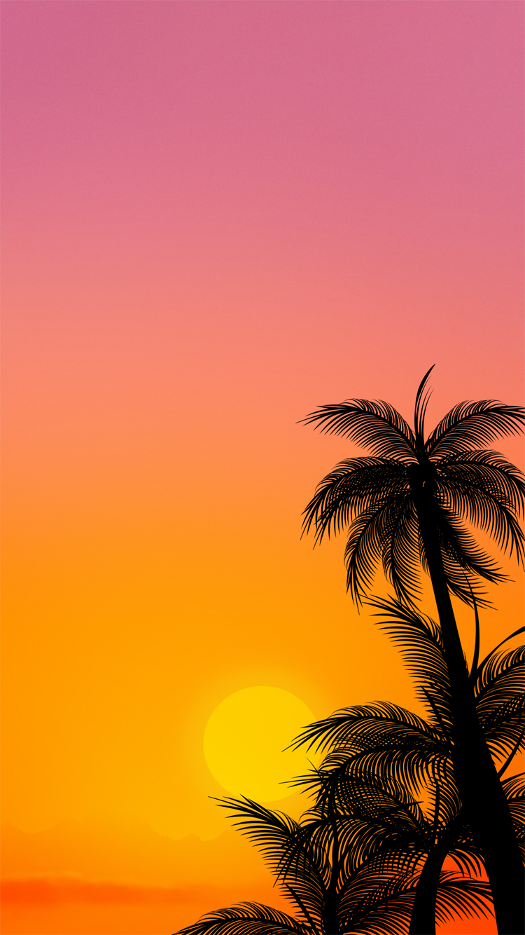 fond d'écran iphone 6s,ciel,arbre,palmier,le coucher du soleil,rémanence