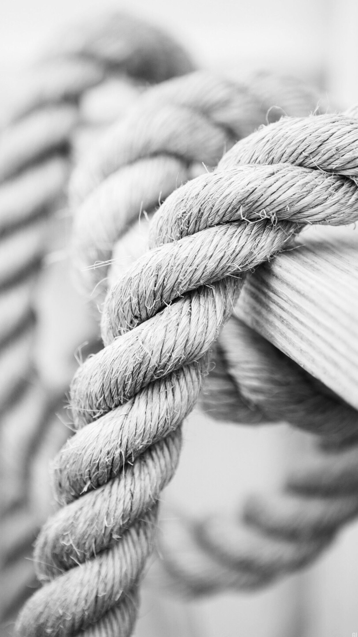 iphone 6s wallpaper,rope,black and white,wool,close up,thread