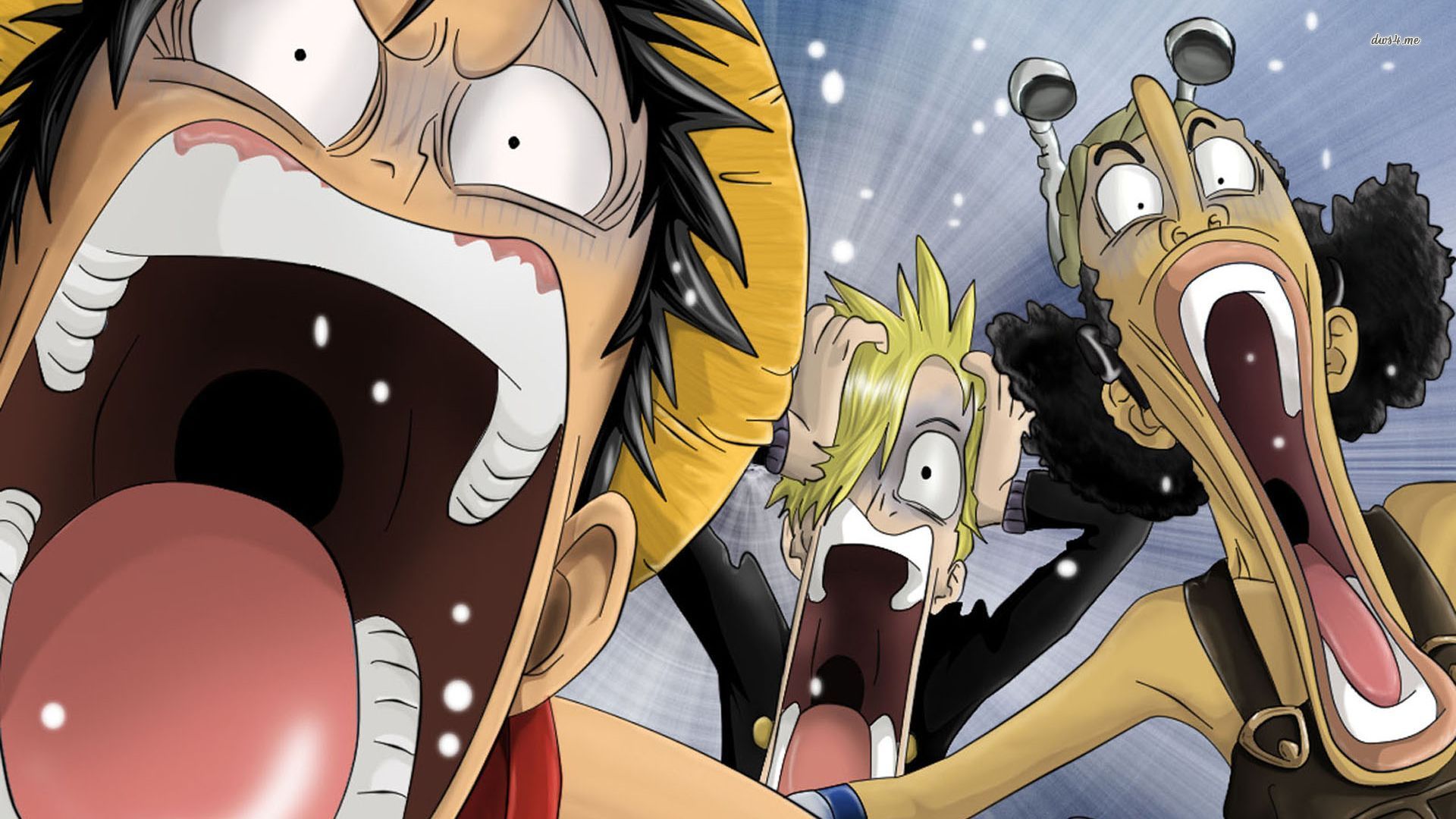 one piece wallpaper,cartoon,animated cartoon,anime,animation,fictional character