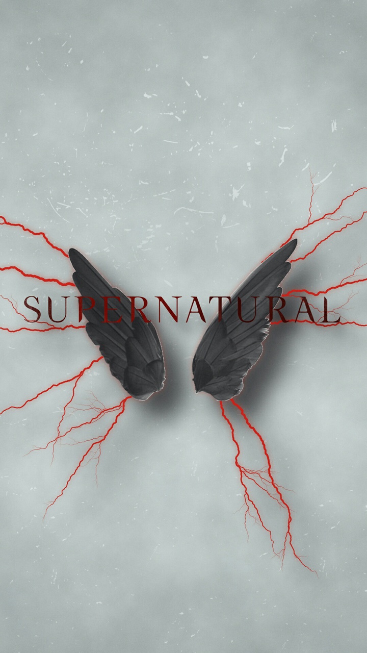 supernatural wallpaper,wing,insect,pest