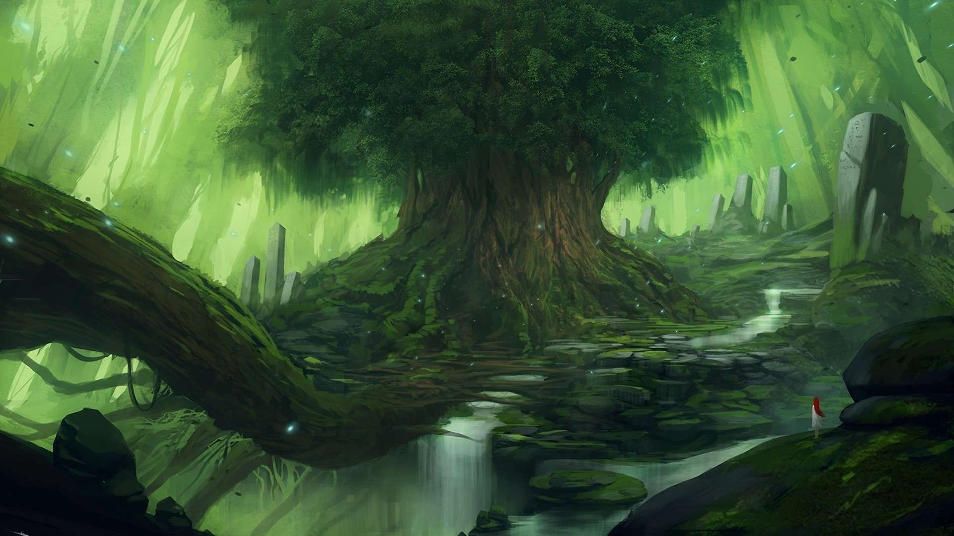 1920x1080 fondo de pantalla,naturaleza,verde,selva,bosque de crecimiento antiguo,árbol