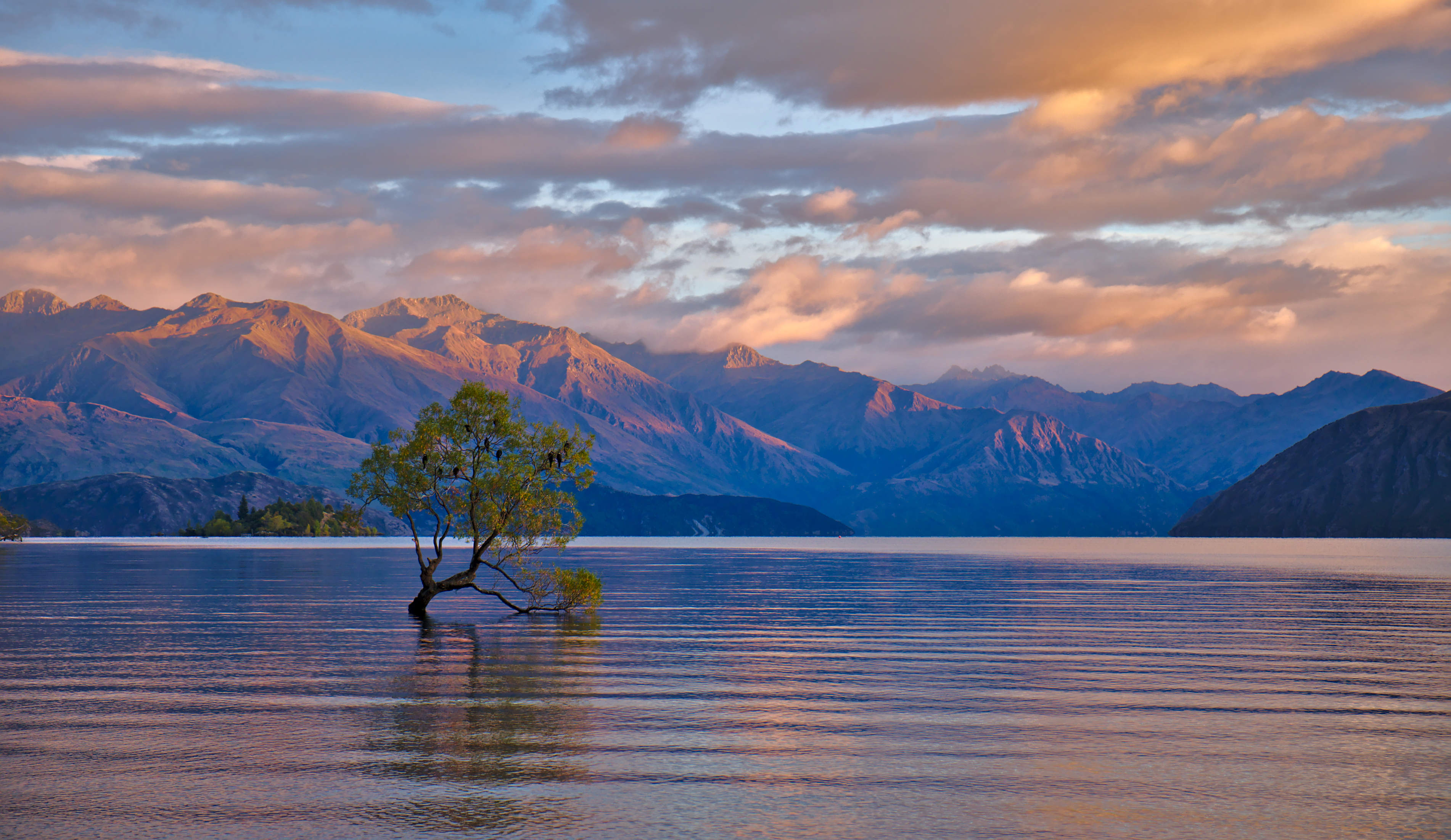 sfondo di ubuntu,corpo d'acqua,cielo,natura,paesaggio naturale,lago