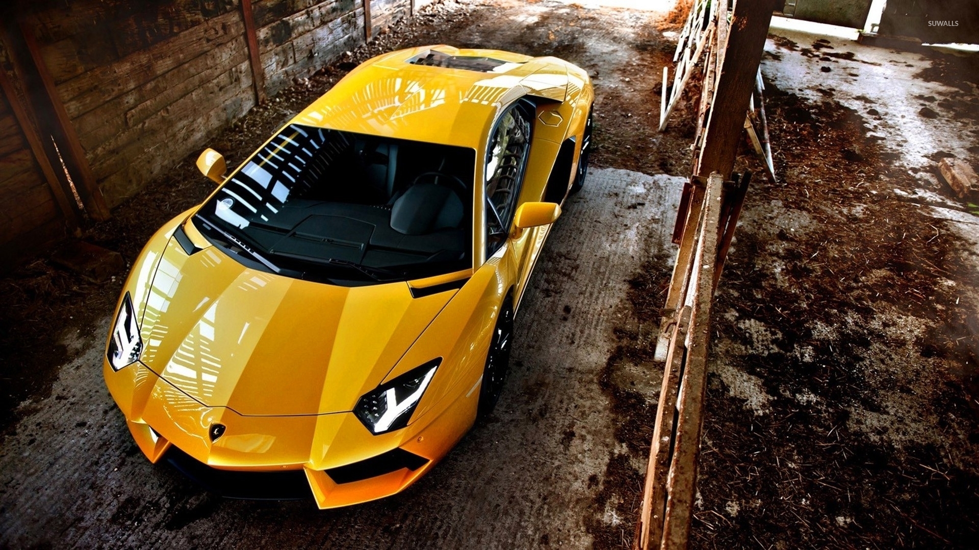 lamborghini wallpaper,land vehicle,vehicle,car,supercar,lamborghini aventador