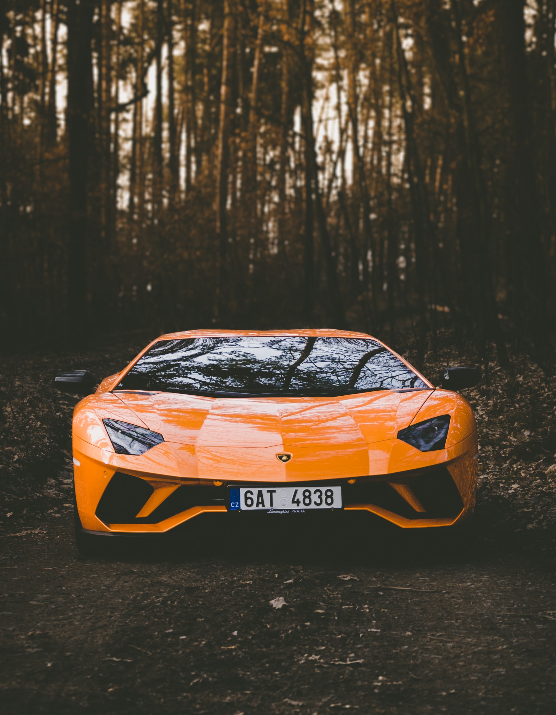 lamborghini wallpaper,land vehicle,vehicle,car,supercar,sports car