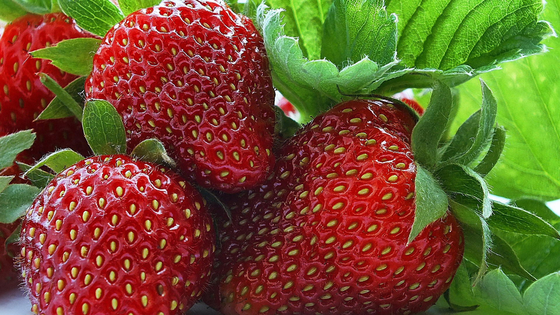 sweet wallpaper,natural foods,strawberry,strawberries,plant,fruit