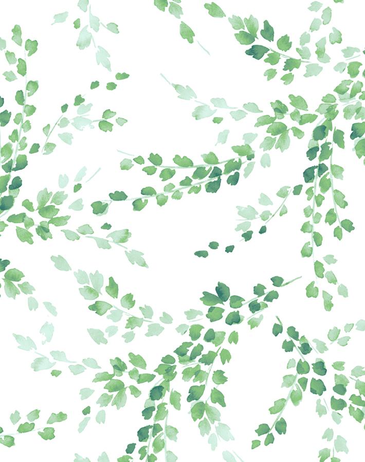 sweet wallpaper,green,leaf,pattern,botany,design