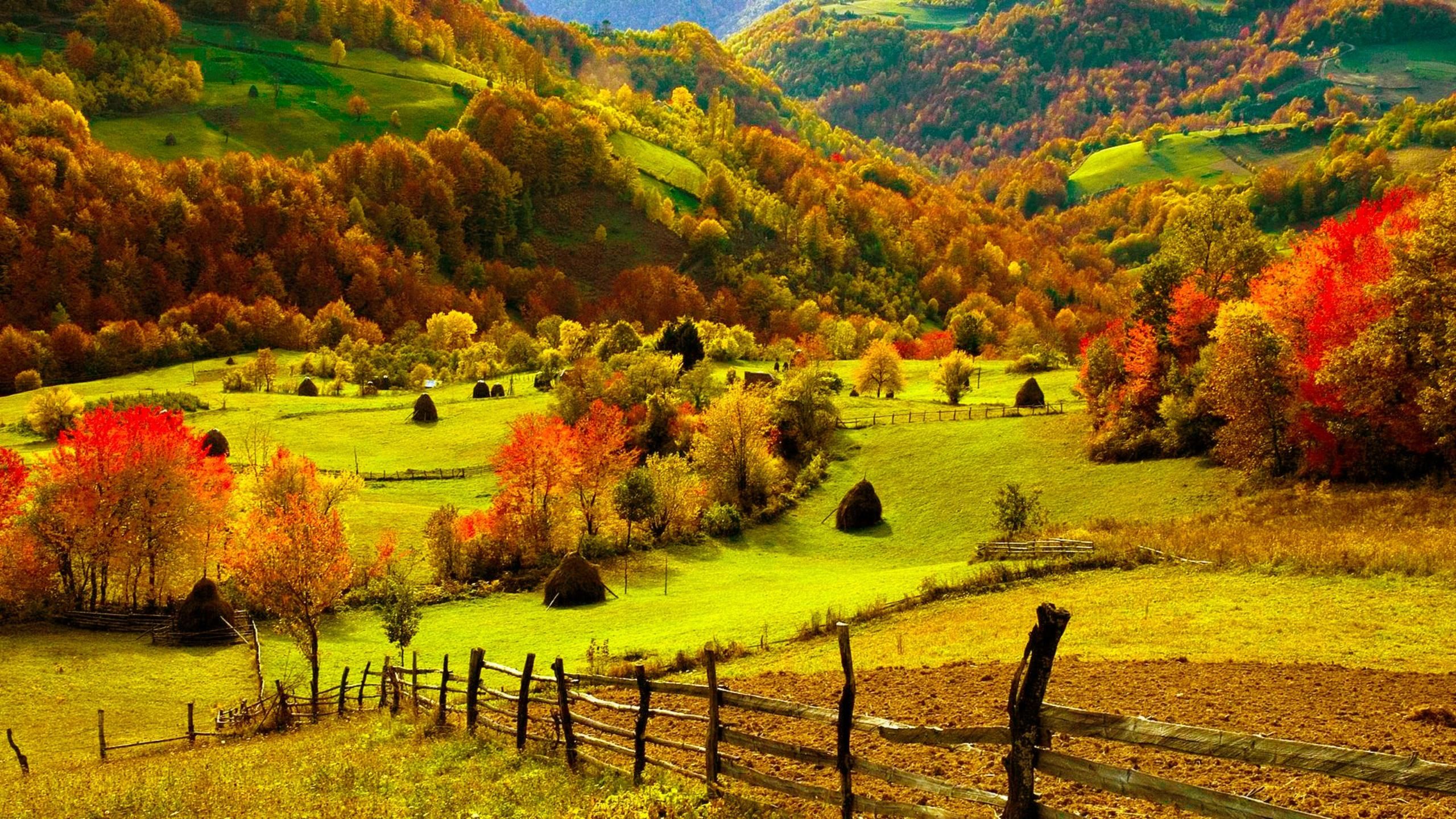 fall wallpaper,natural landscape,nature,grassland,hill,pasture