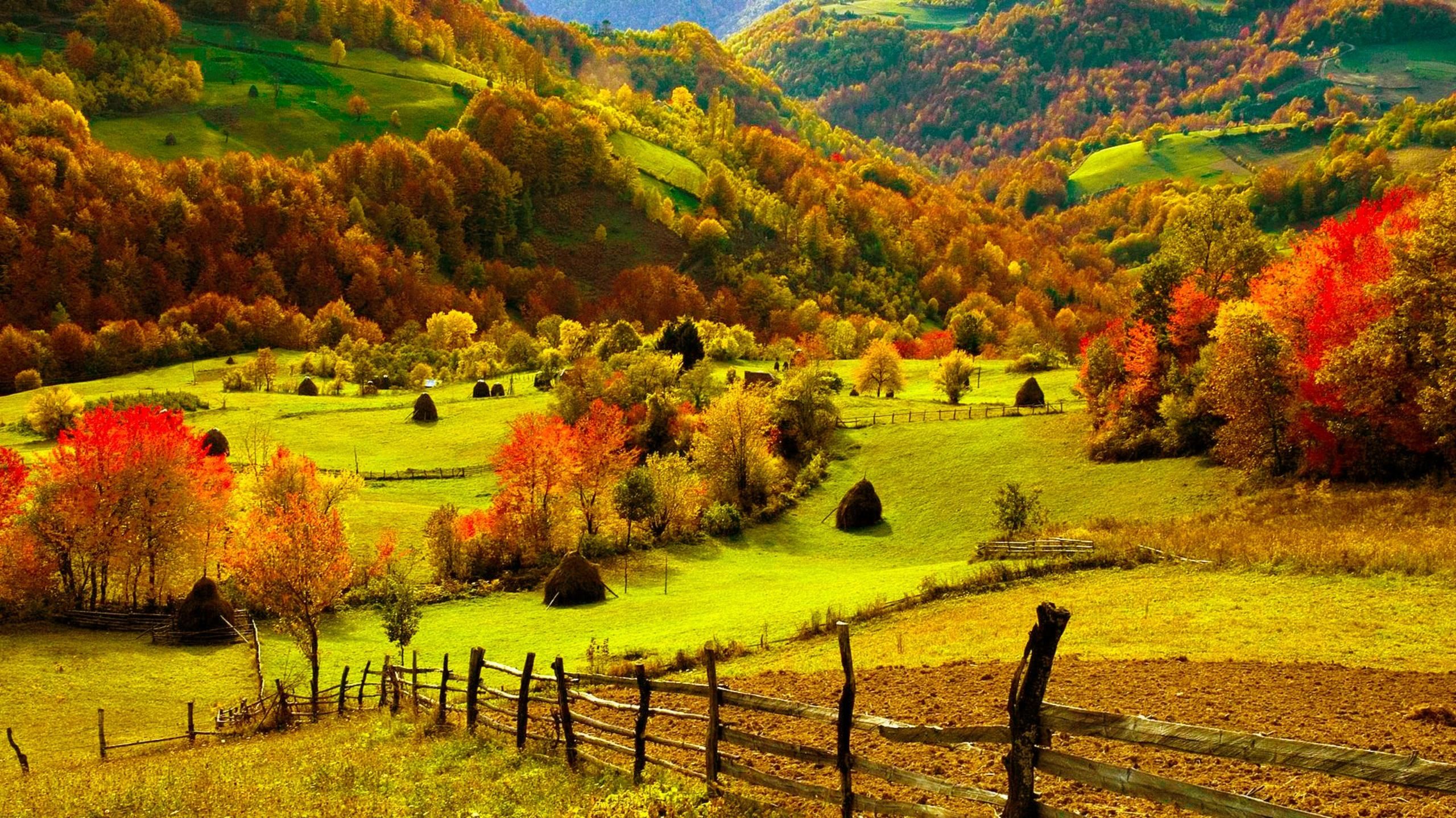 herbst tapete,natürliche landschaft,natur,wiese,hügel,herbst