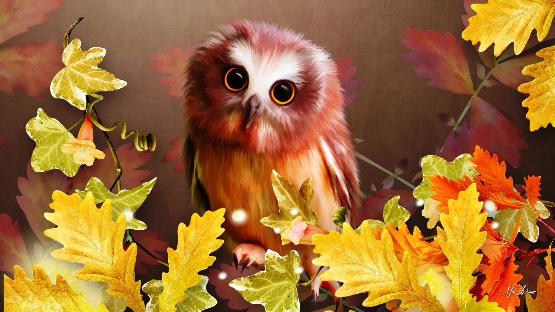 fall wallpaper,yellow,leaf,plant,flower,owl