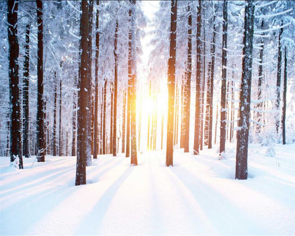 fond d'écran de neige,arbre,neige,hiver,la nature,forêt