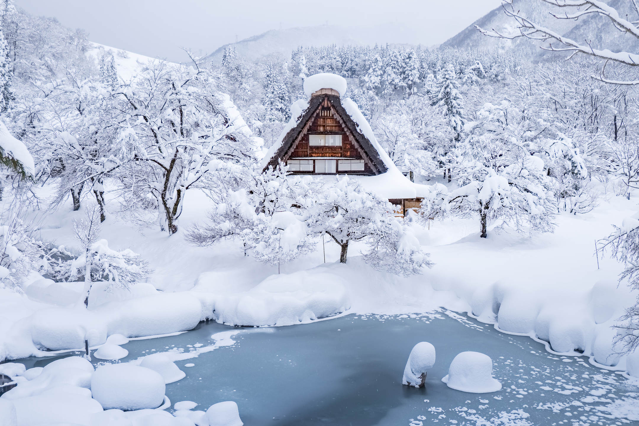 schneetapete,schnee,winter,einfrieren,frost,natürliche landschaft