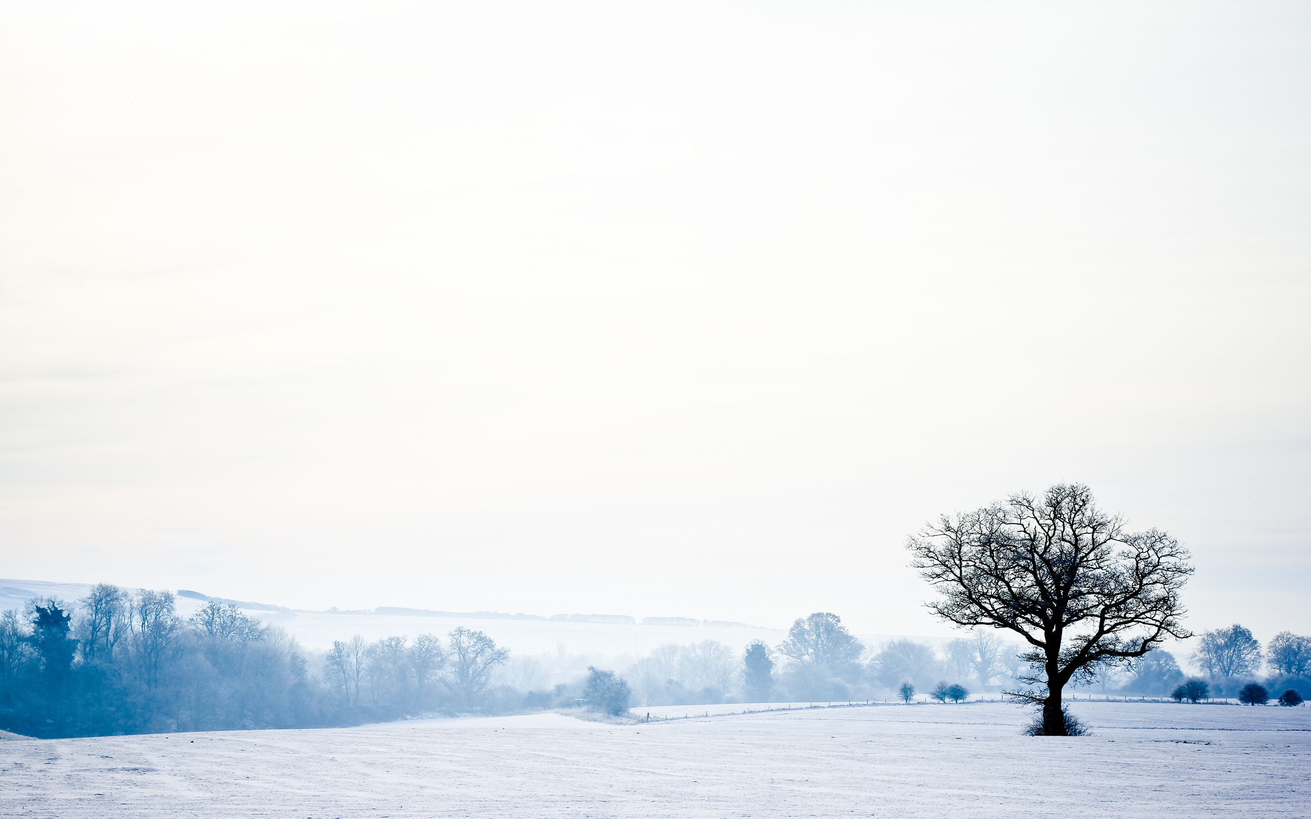 雪の壁紙,空,冬,雪,自然,木
