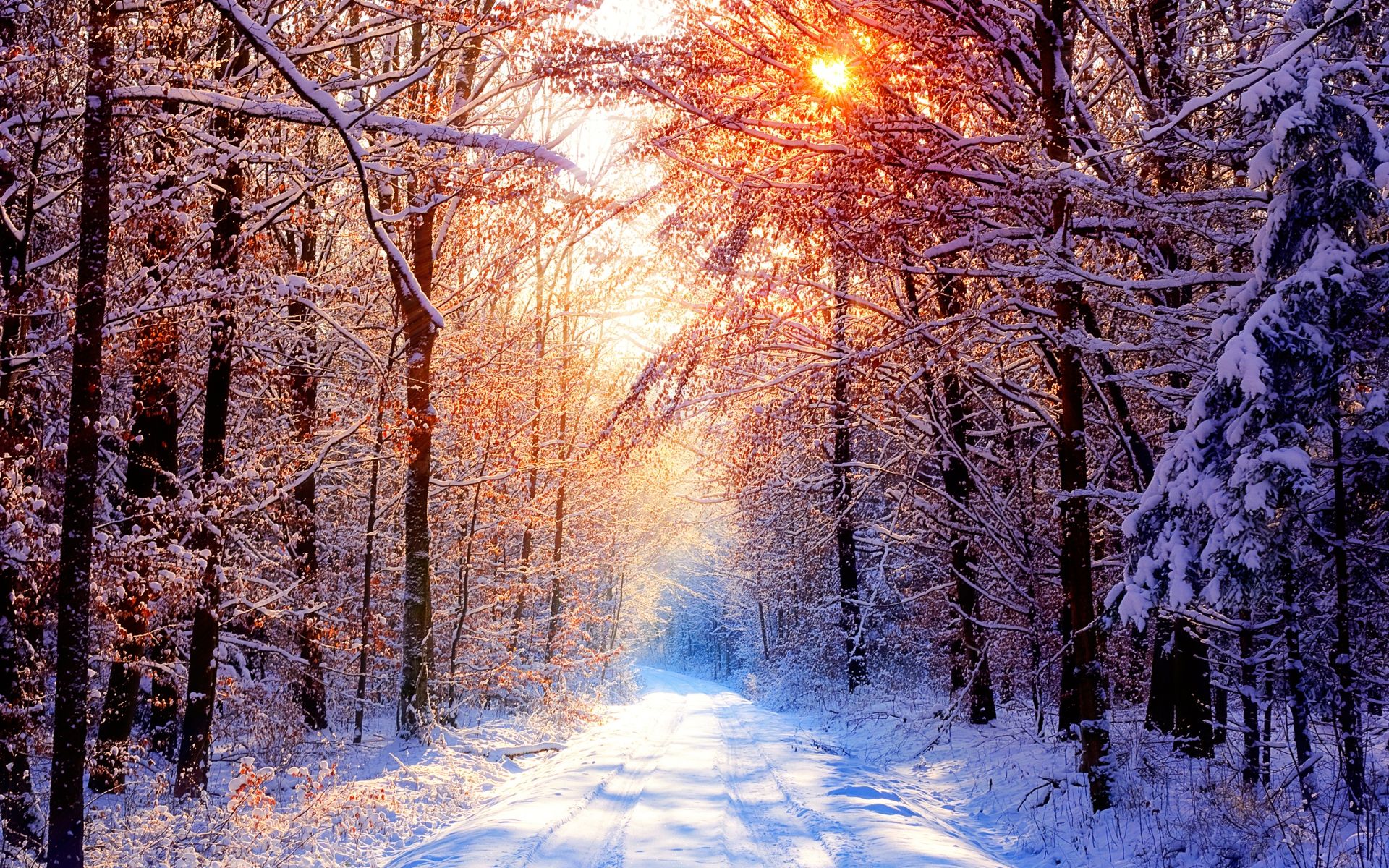 papel pintado de nieve,invierno,paisaje natural,naturaleza,nieve,cielo