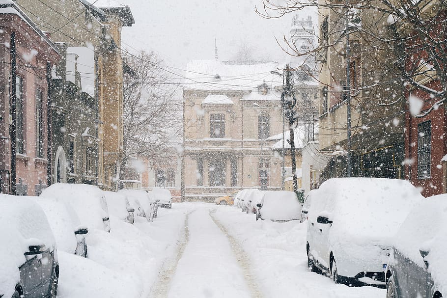 fond d'écran de neige,neige,hiver,gelé,rue,arbre