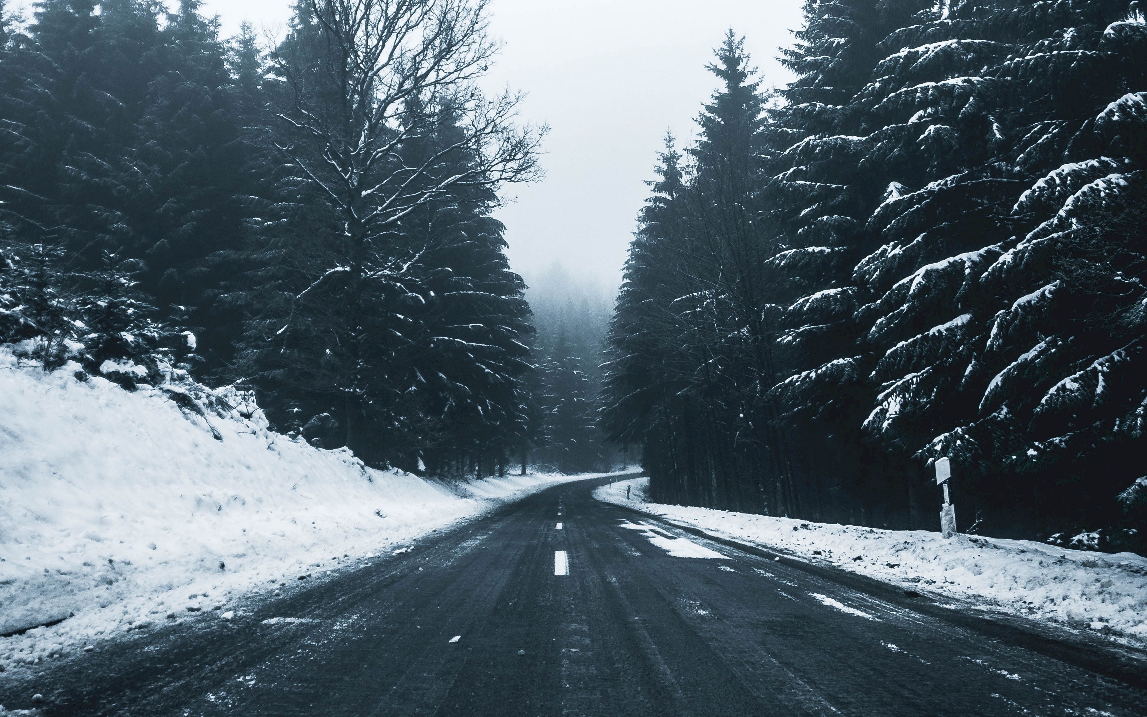 雪の壁紙,雪,冬,道路,木,凍結