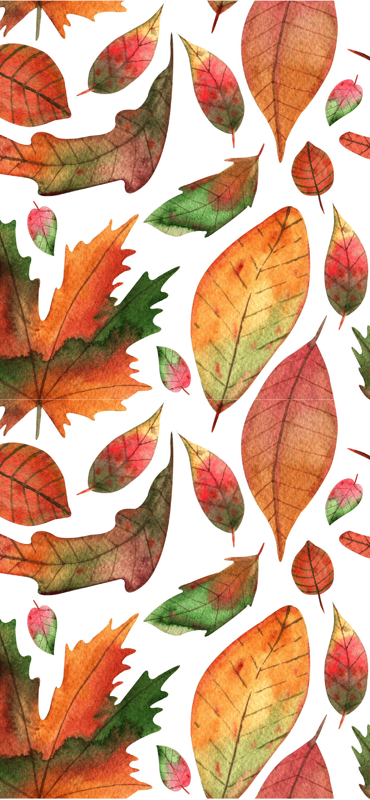 fall wallpaper,leaf,tree,plant,botany,plant pathology