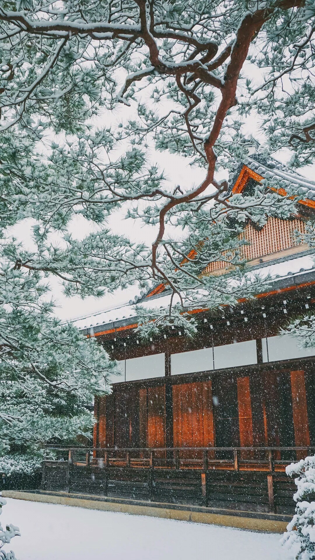 papel pintado de nieve,árbol,arquitectura,edificio,planta leñosa,planta