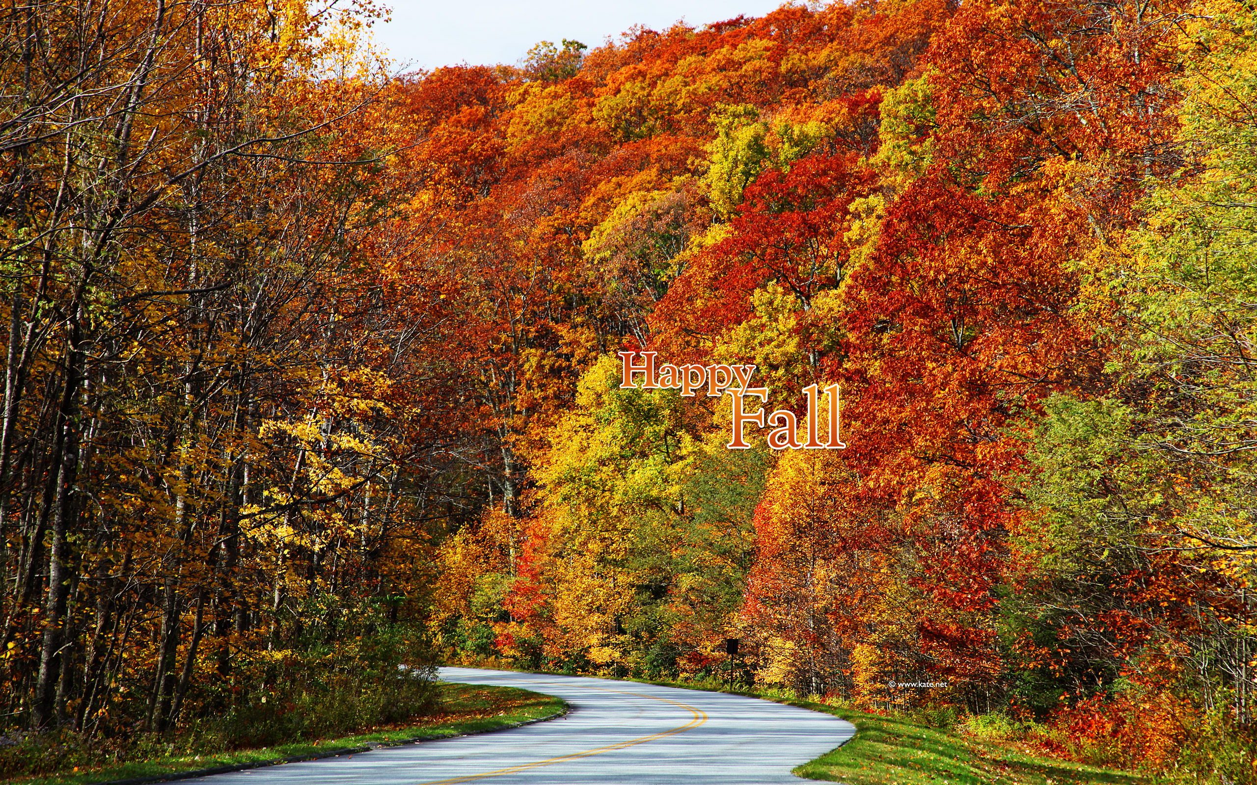 herbst tapete,natürliche landschaft,baum,natur,blatt,herbst