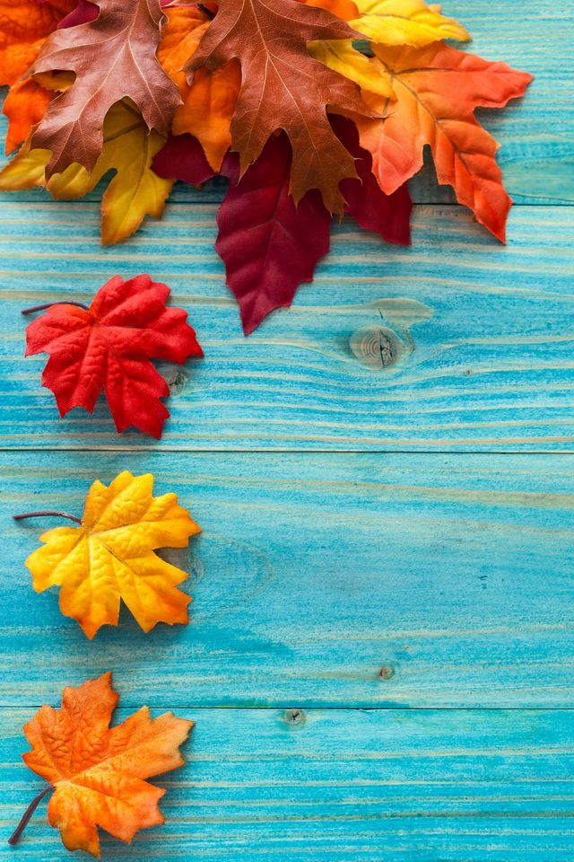 秋の壁紙,葉,黄,カエデの葉,オレンジ,木