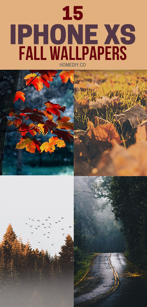 fall wallpaper,nature,natural landscape,text,leaf,tree