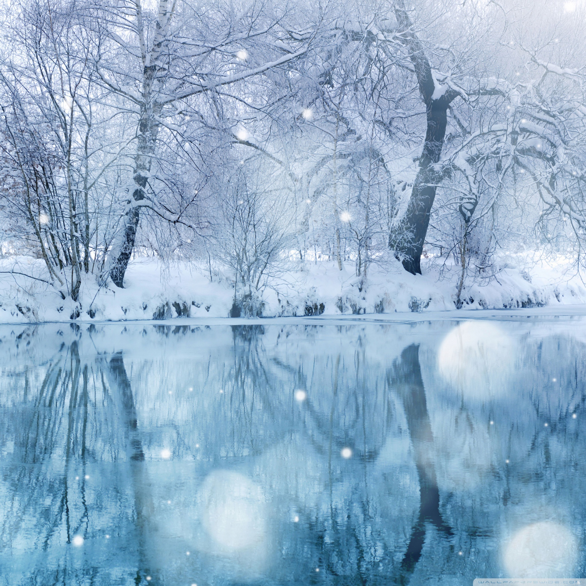 carta da parati neve,inverno,natura,paesaggio naturale,neve,congelamento