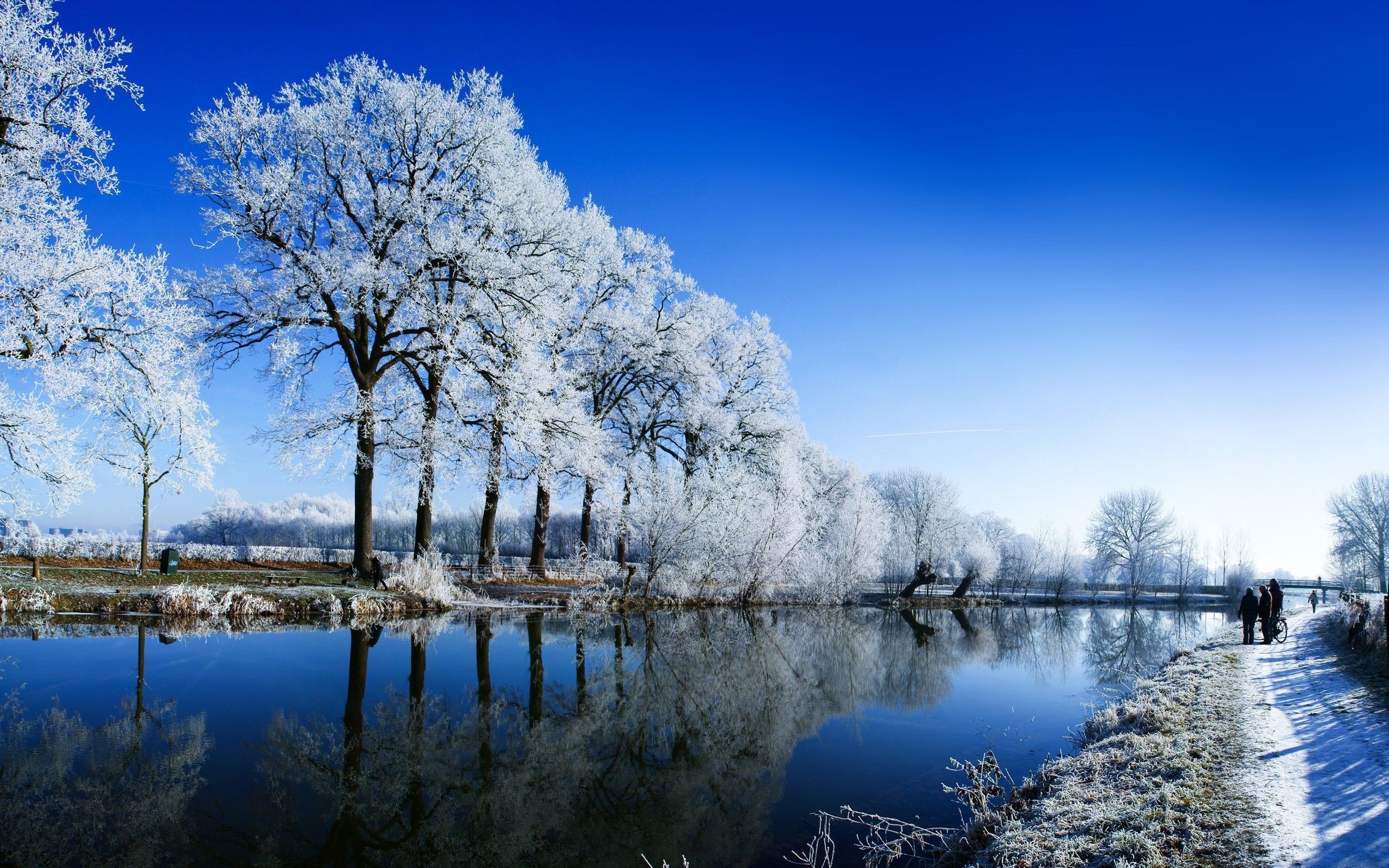 雪の壁紙,自然の風景,自然,冬,反射,空