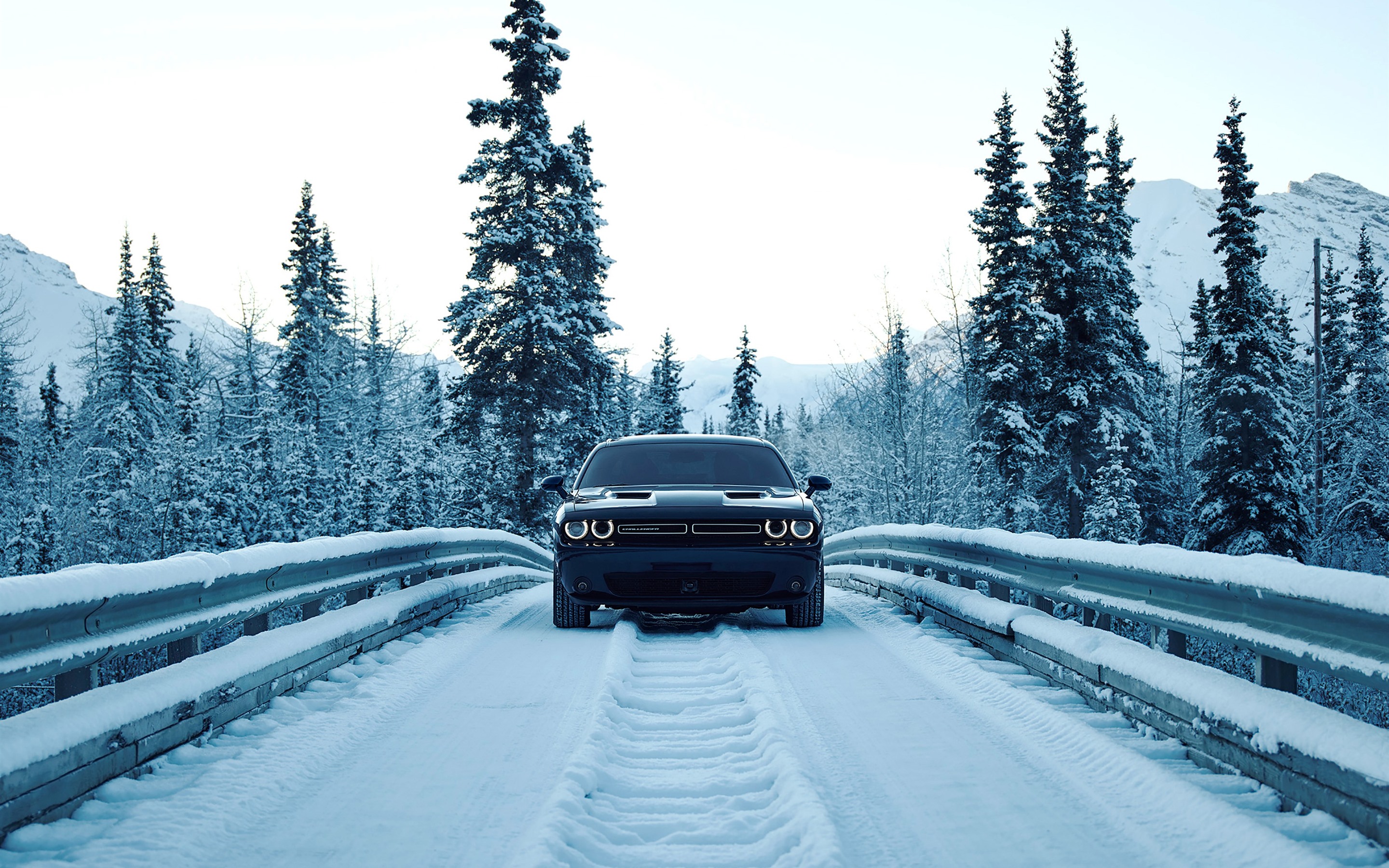 snow wallpaper,land vehicle,vehicle,snow,car,automotive tire
