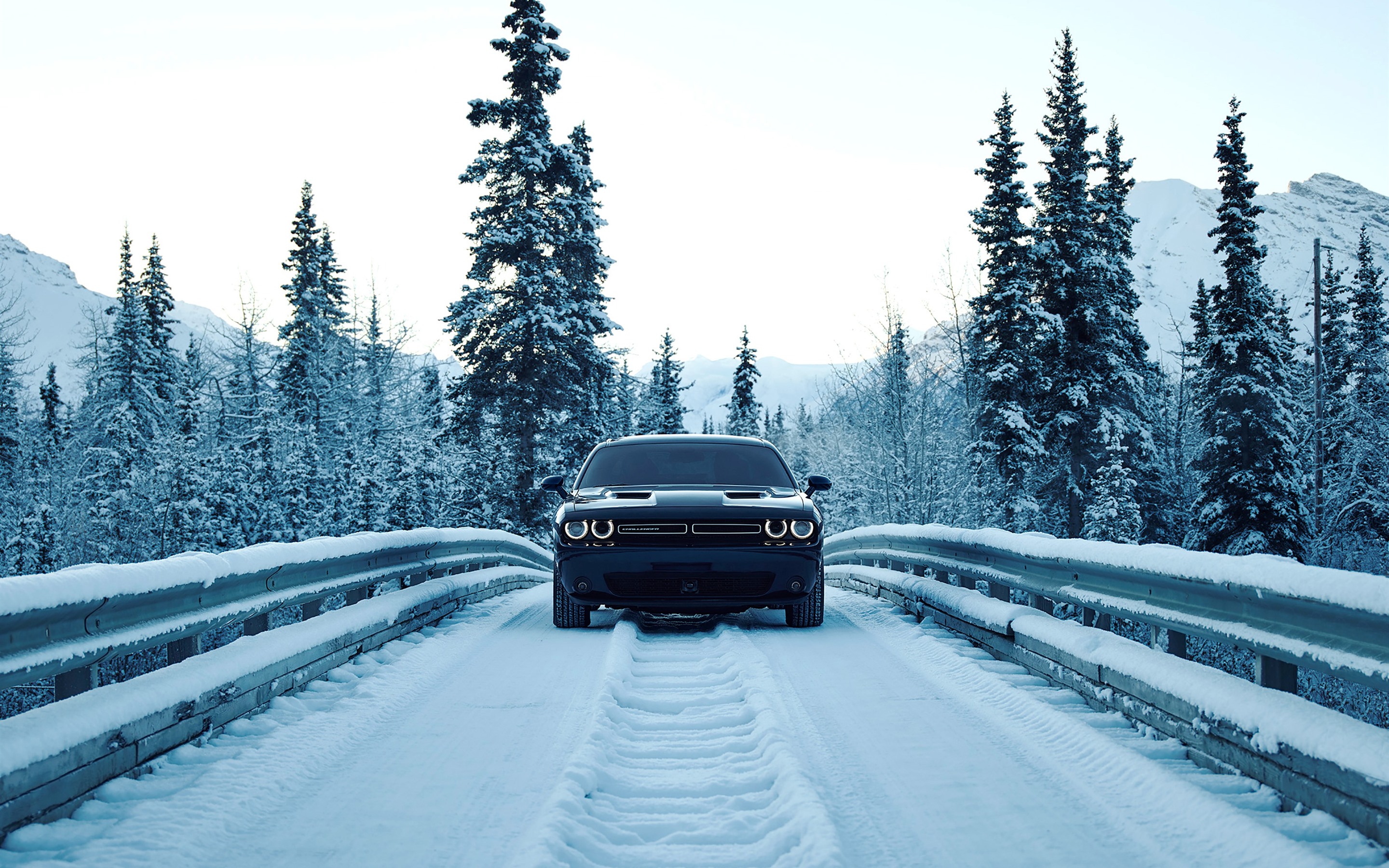 fond d'écran de neige,véhicule terrestre,véhicule,neige,voiture,hiver