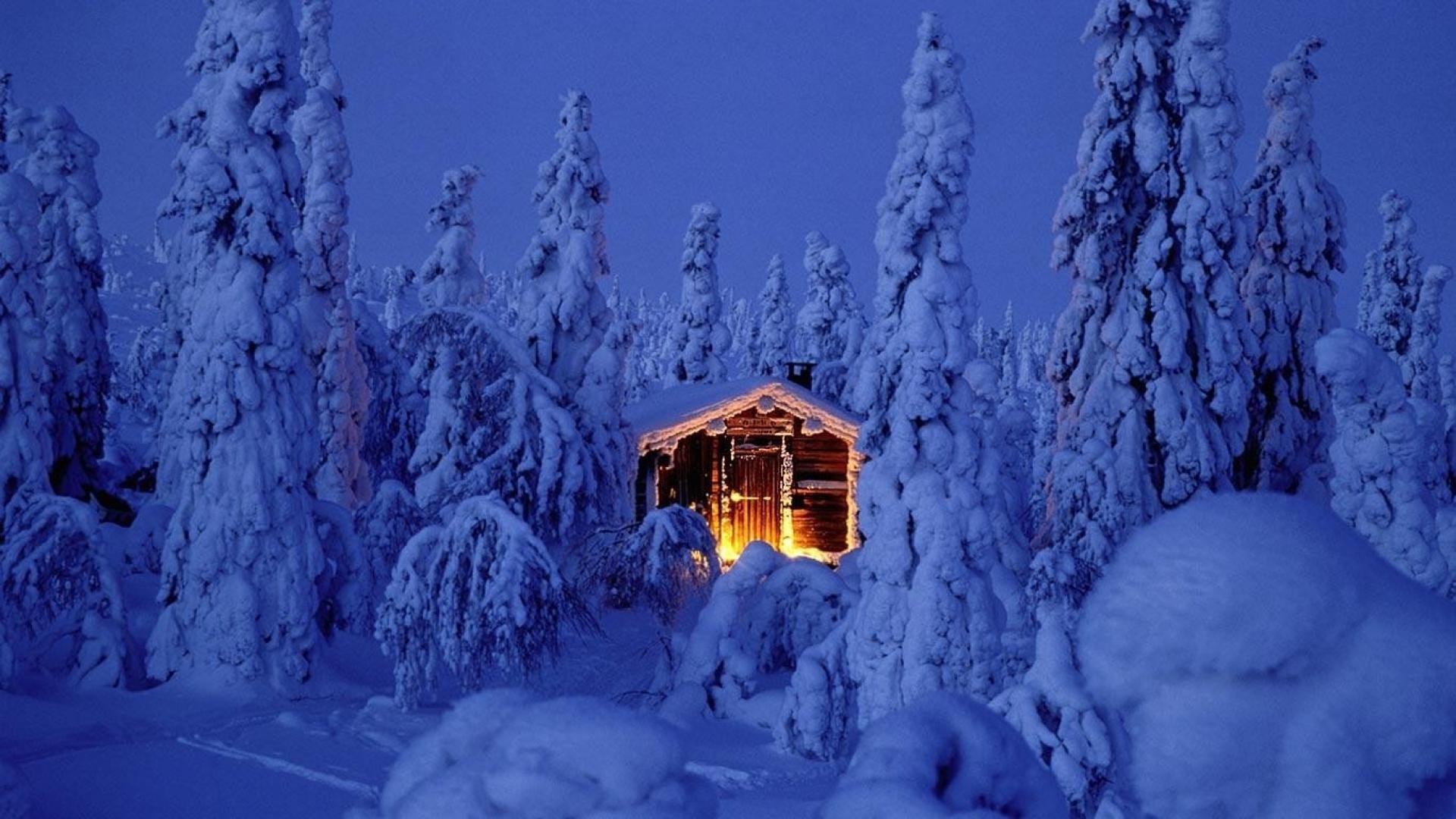 papel pintado de nieve,invierno,nieve,azul,congelación,escarcha