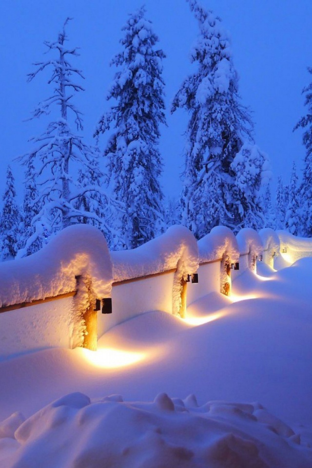 schneetapete,schnee,winter,einfrieren,baum,beleuchtung