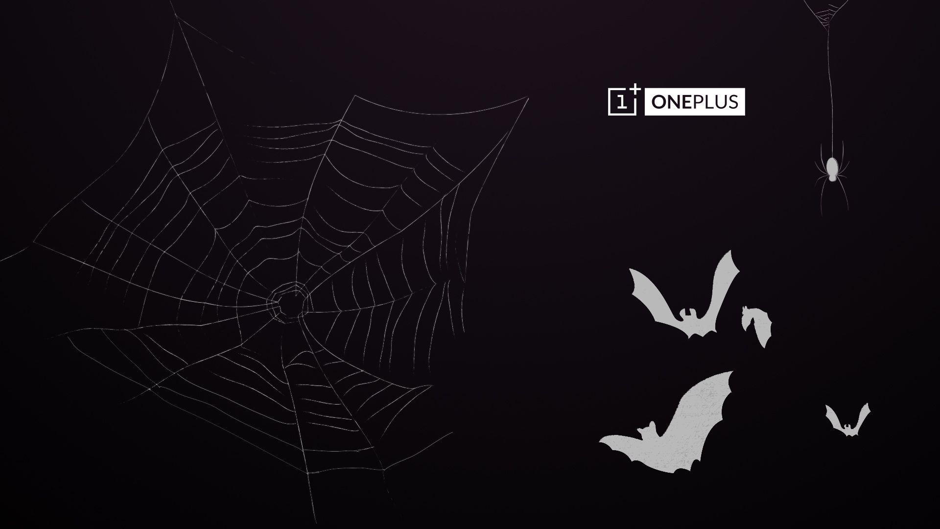 halloween wallpaper,black,black and white,wing,spider web,darkness