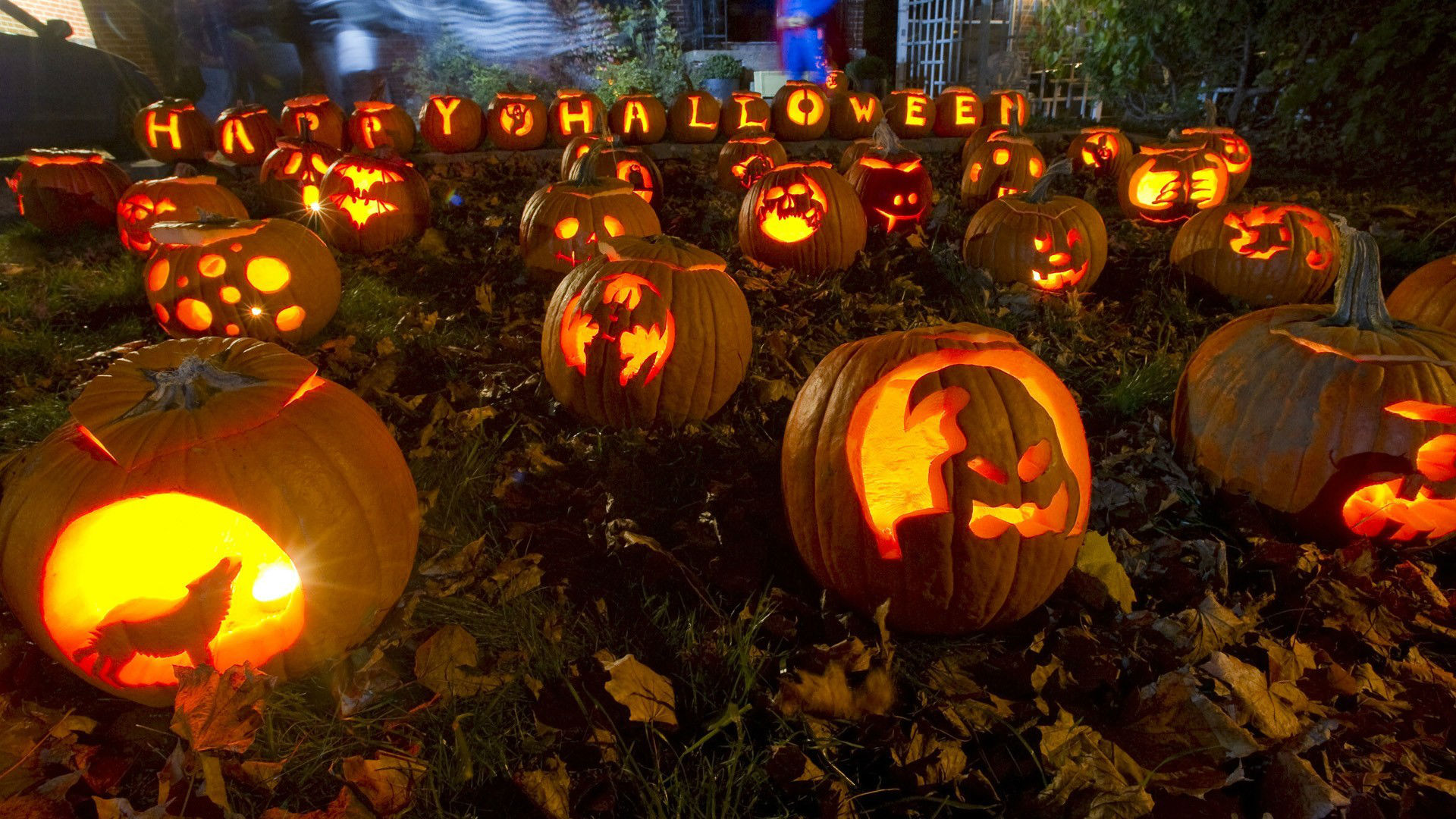 carta da parati di halloween,zucca,zucca invernale,jack o lantern,calabaza,dolcetto o scherzetto