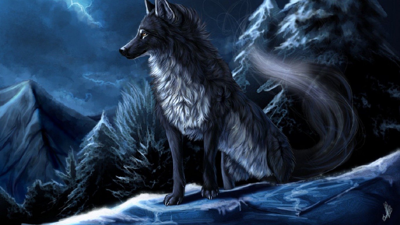 papier peint loup,loup,loup garou,personnage fictif,créature mythique,ténèbres
