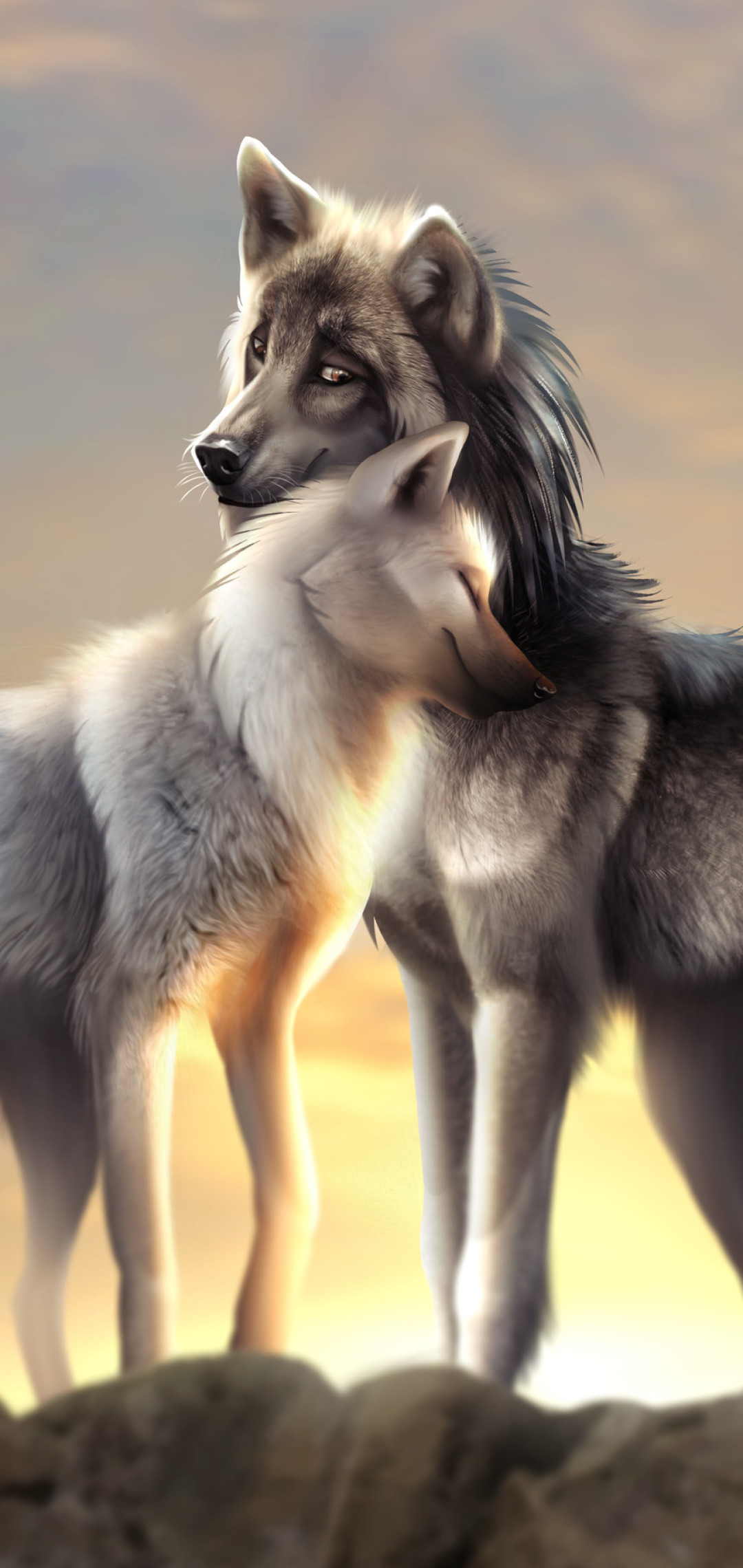 fondo de pantalla de lobo,perro,perro lobo,husky siberiano,perro lobo checoslovaco,perro tamaskan