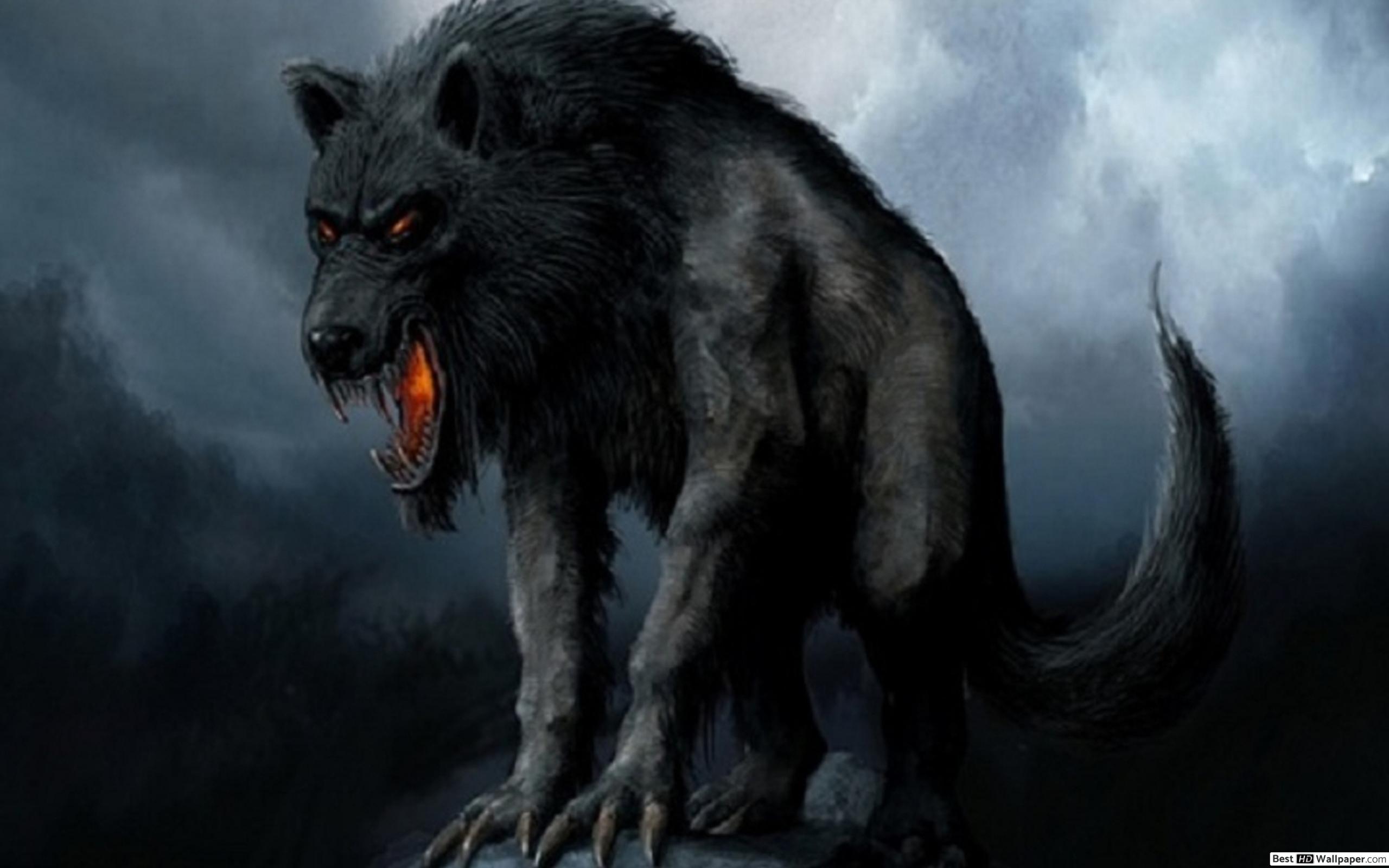 wolf tapete,werwolf,wolf,mythische kreatur,erfundener charakter,brüllen