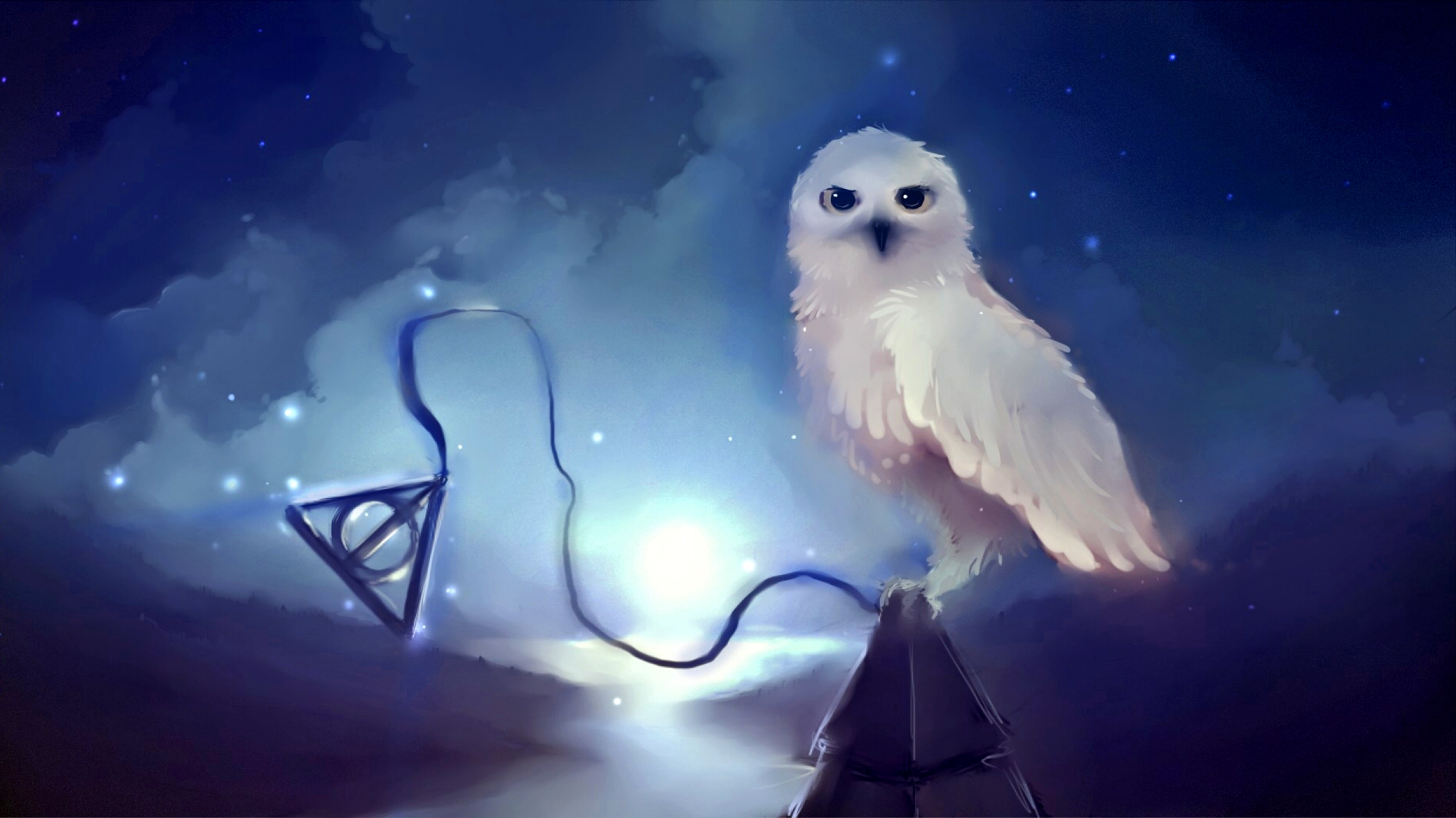 fond d'écran harry potter,hibou,harfang des neiges,oiseau,ciel,chouette effraie