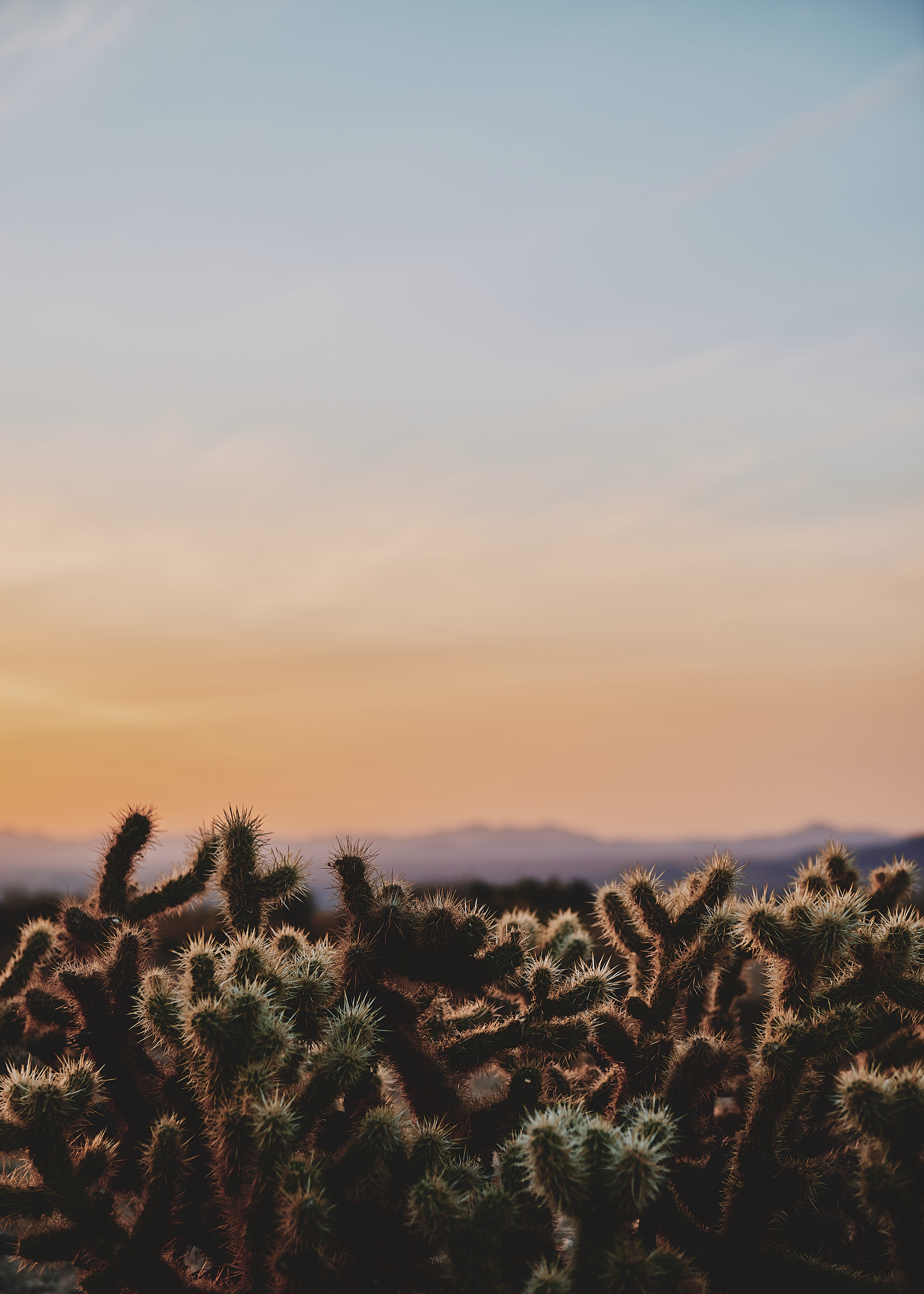 puesta de sol fondo de pantalla,cielo,naturaleza,horizonte,nube,mañana