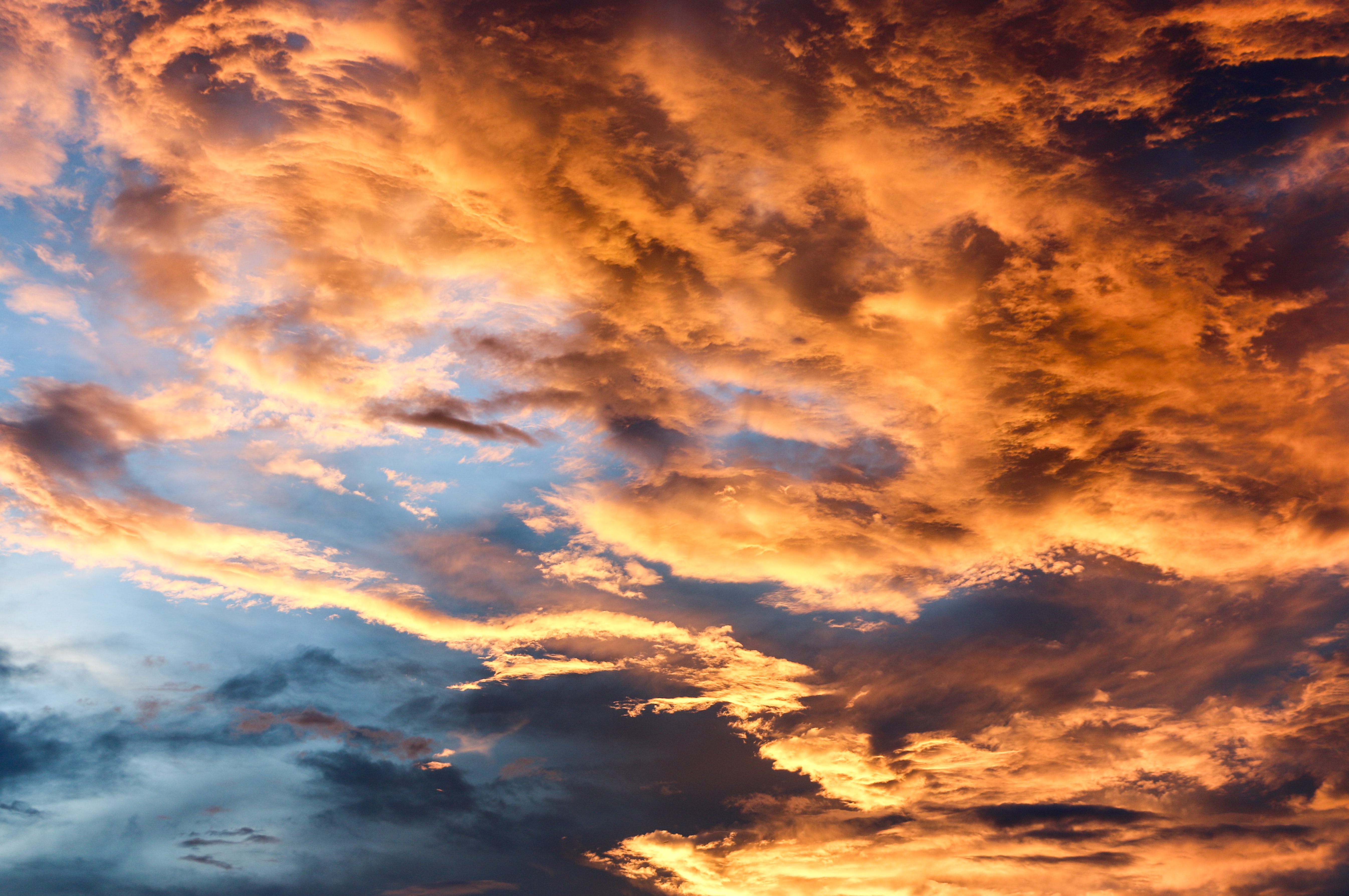 夕日の壁紙,空,雲,残照,昼間,自然