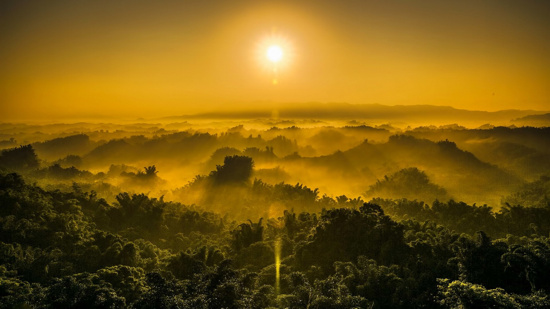 carta da parati al tramonto,natura,cielo,alba,paesaggio naturale,mattina